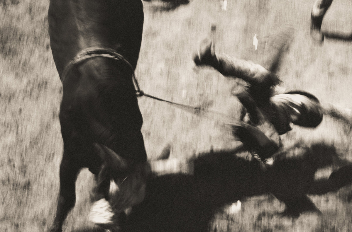 Rodeo