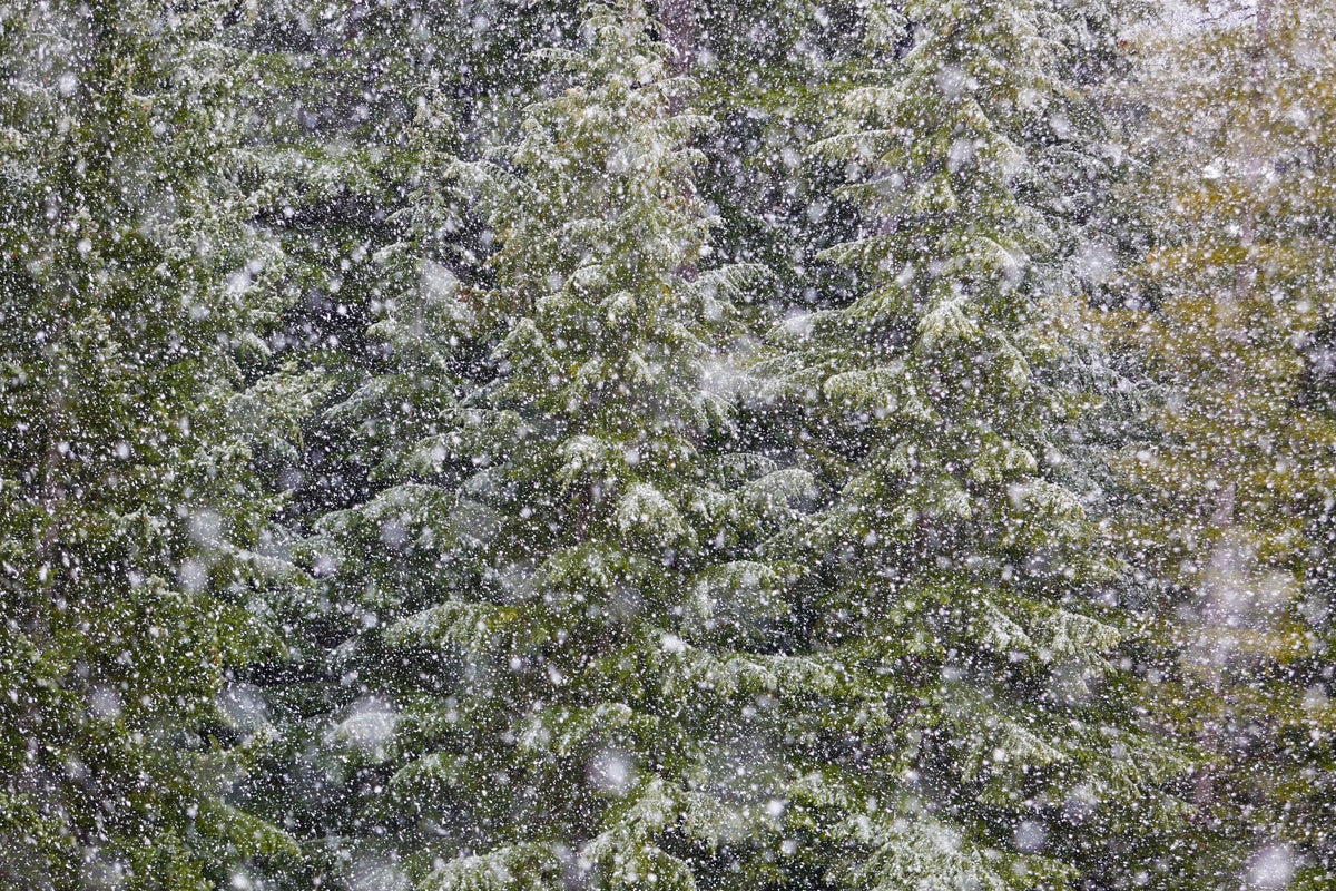 Big Snow 1, Jules Frazier Fine Art Photograph