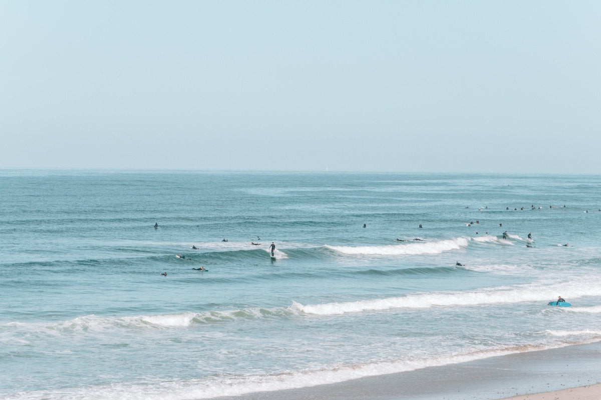 Morning surfer in California