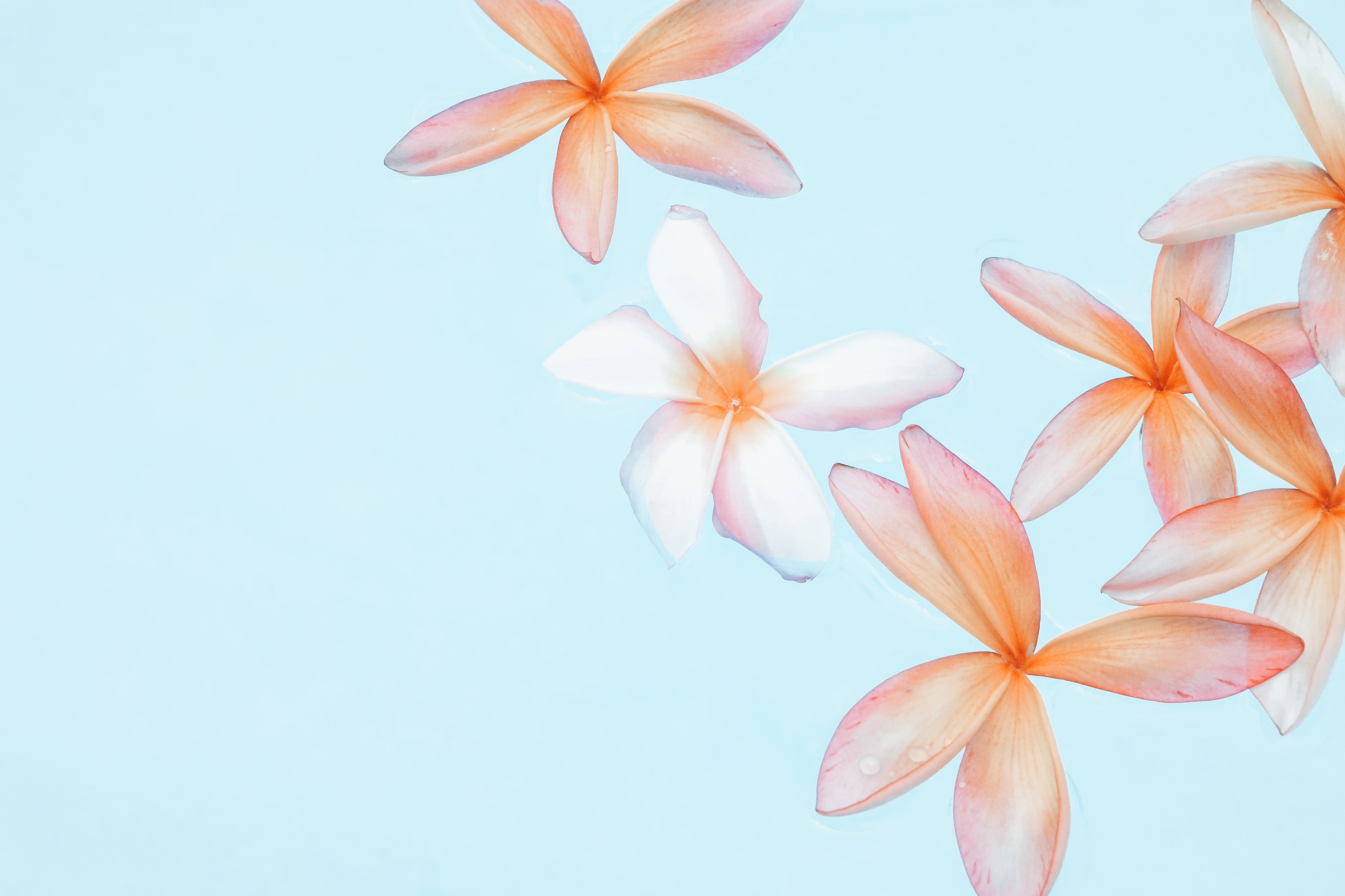 Nature - Jules Frazier Fine Art Photographs