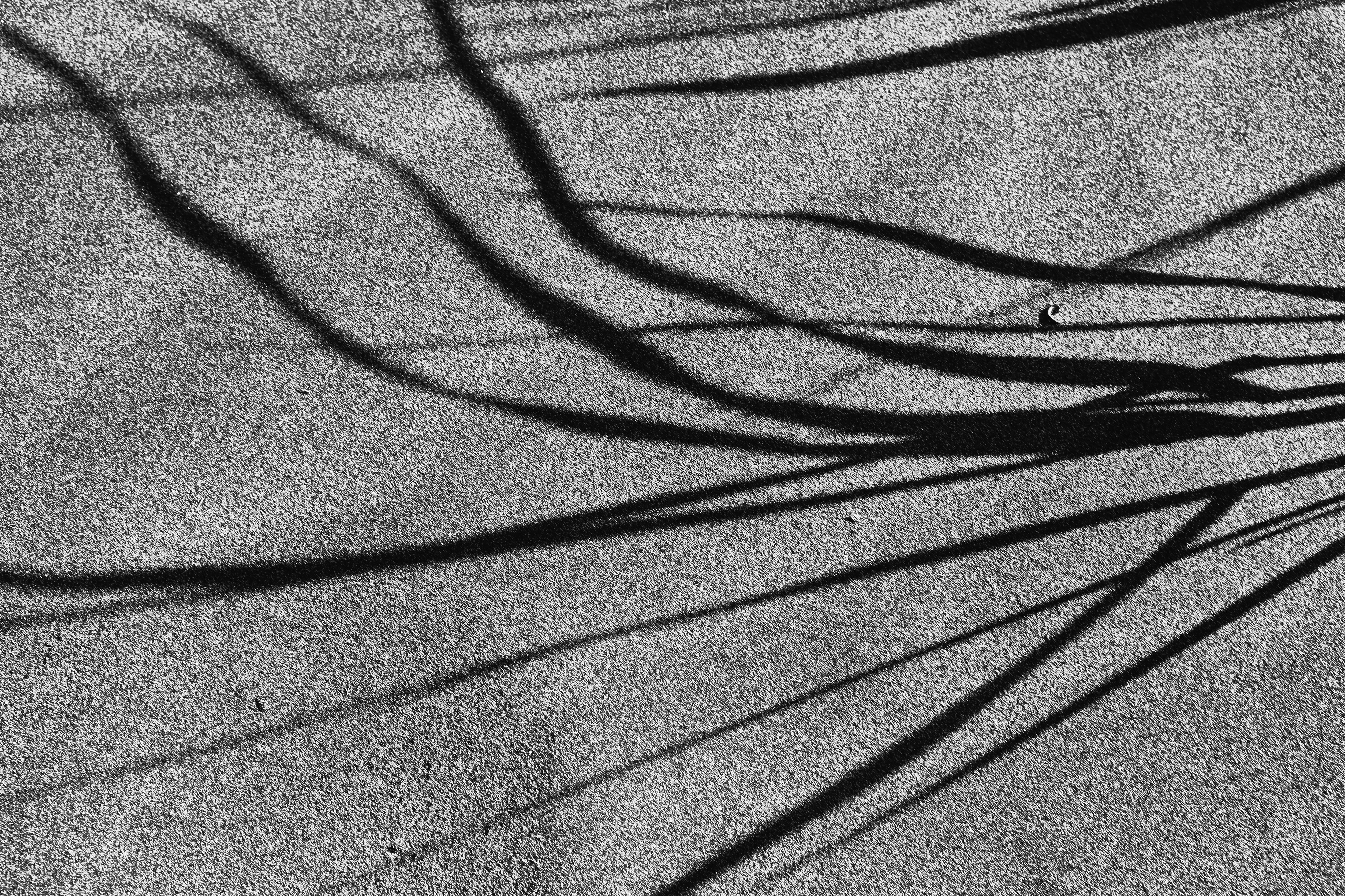 Black & White - Jules Frazier Fine Art Photographs