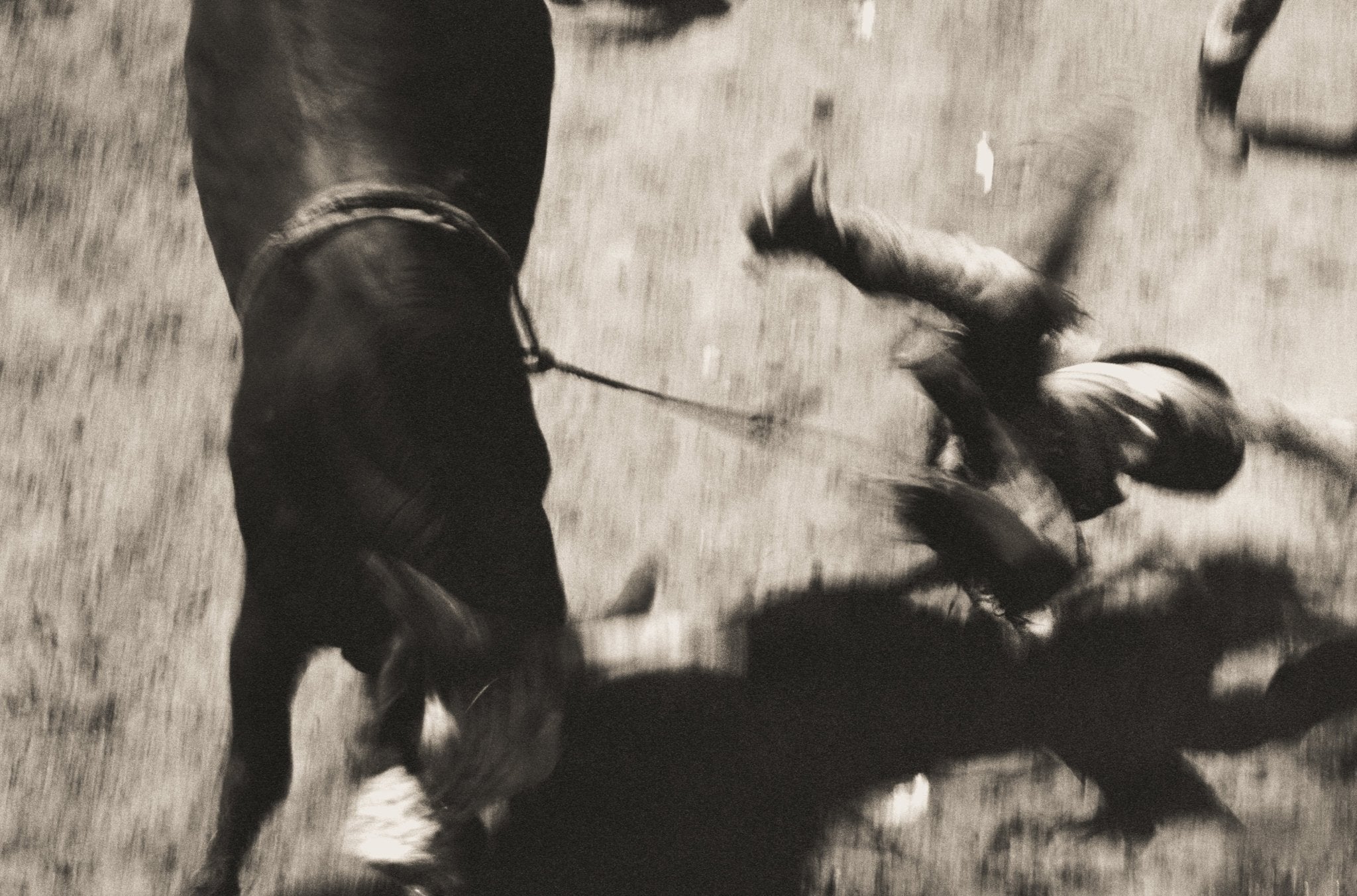 - Jules Frazier Fine Art Photographs