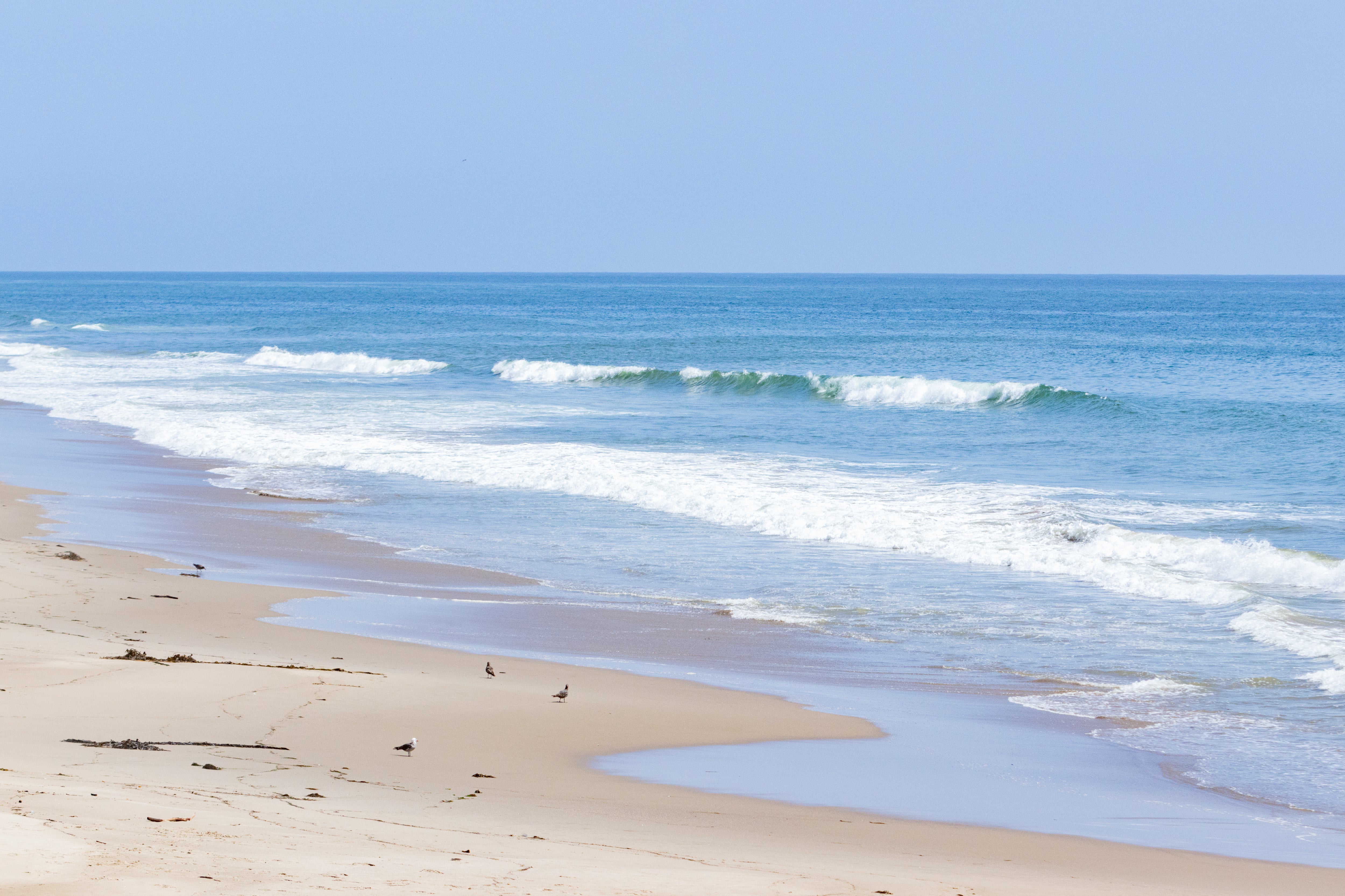 Afternoon Waves