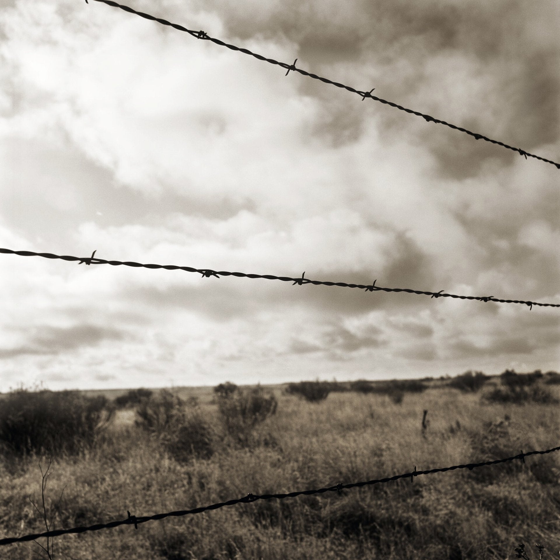 Barb Wire, Jules Frazier Fine Art Photograph