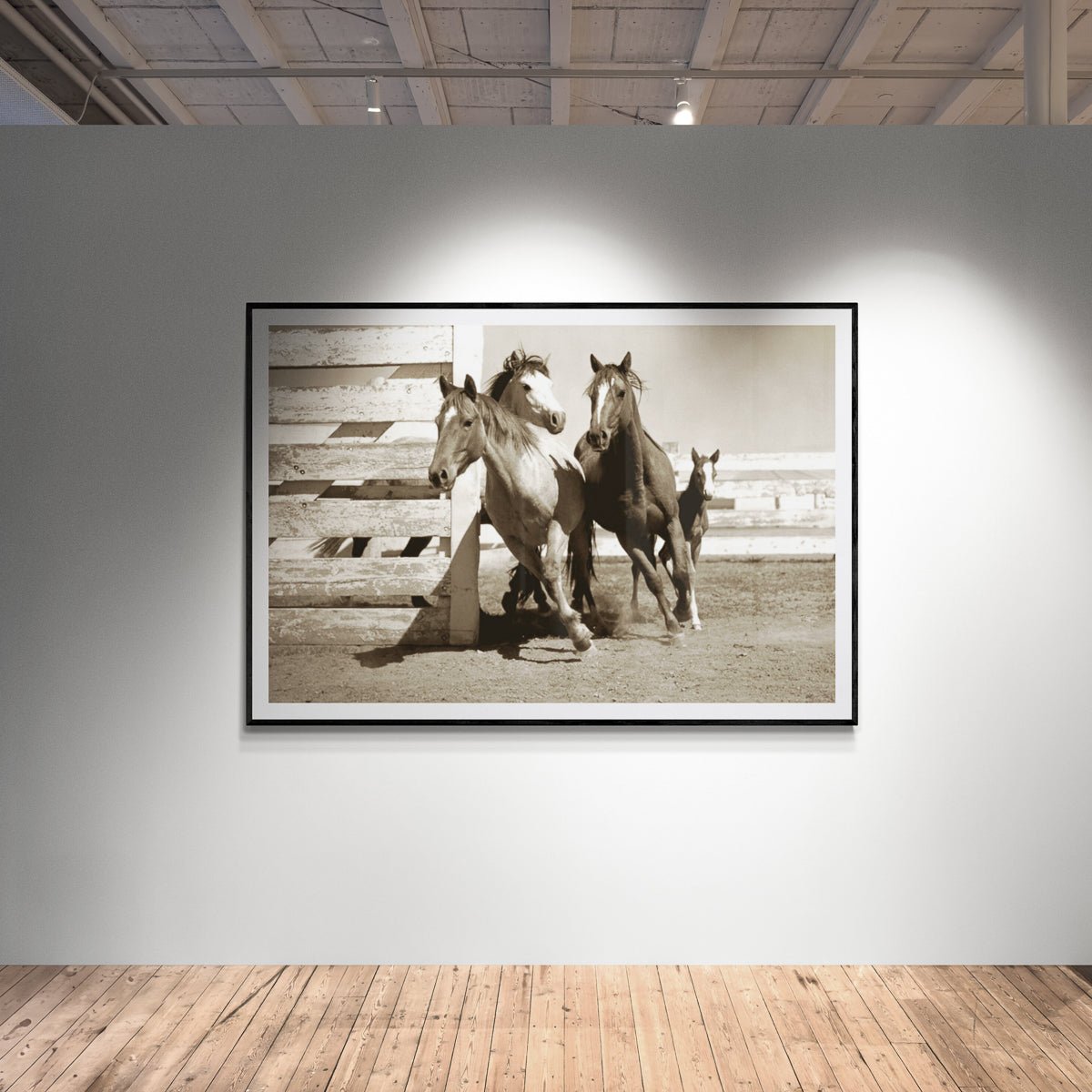 Binion's Horses, fine art western print by photographer Jules Frazier shown on wall in gallery