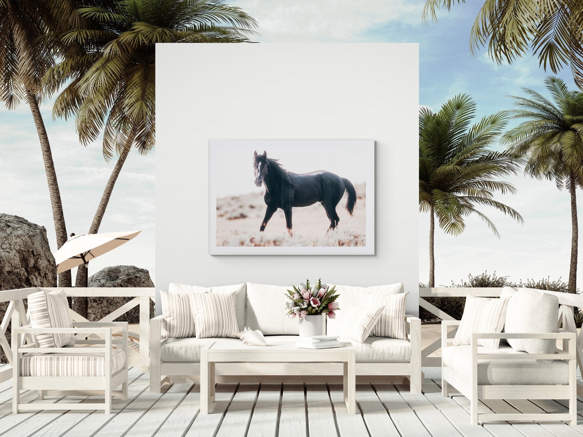 Black Stallion