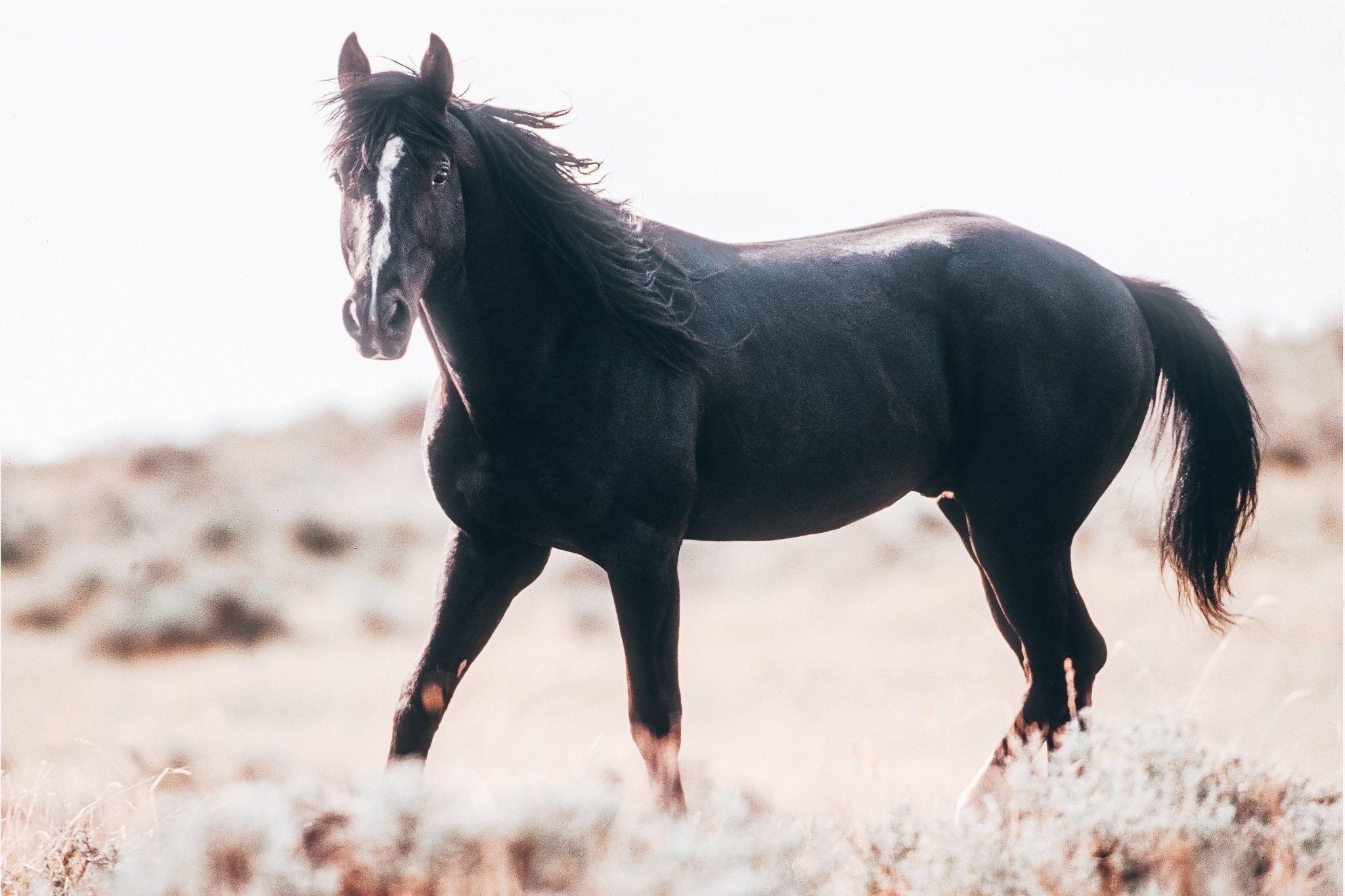 - Jules Frazier Fine Art Photographs