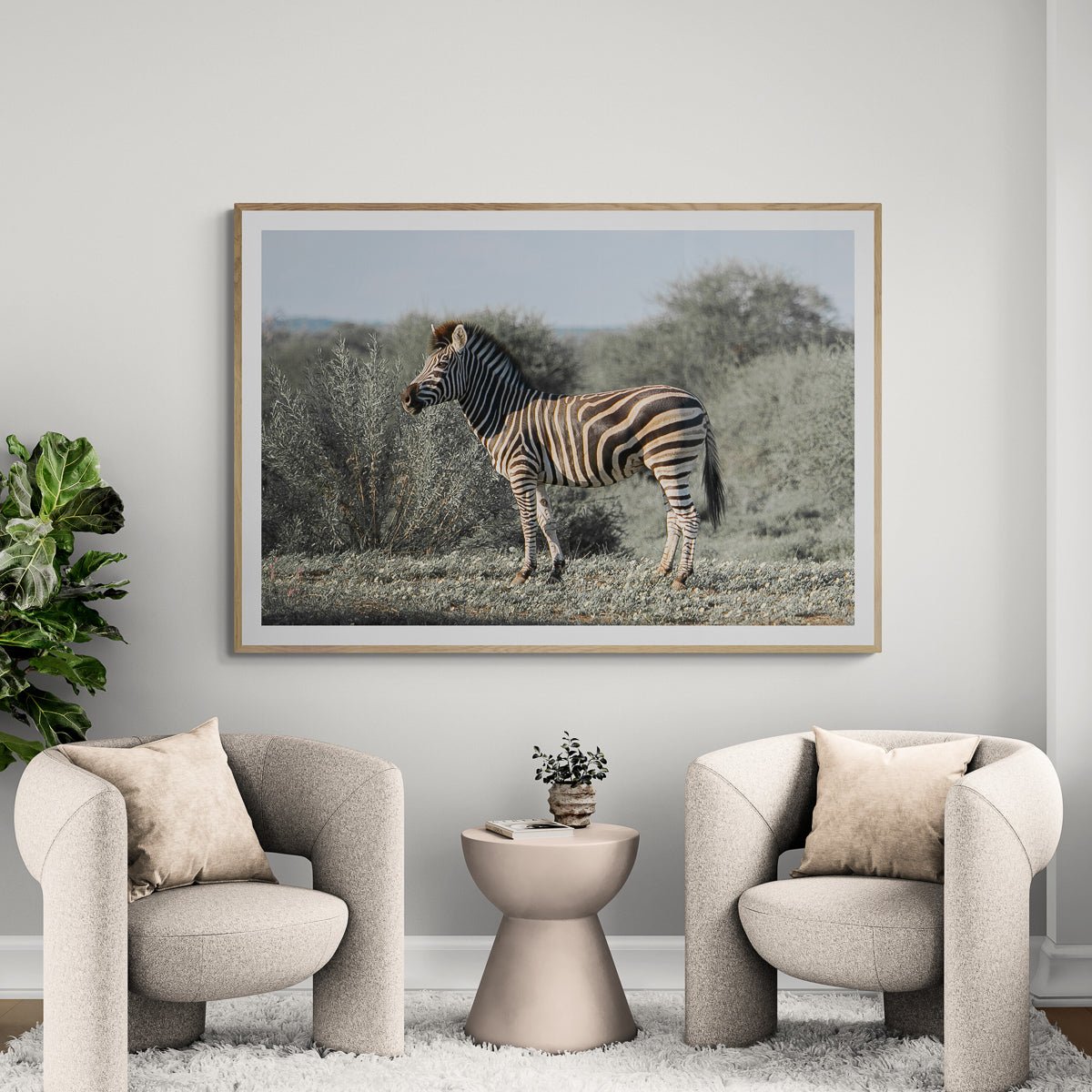 Botswana Zebra
