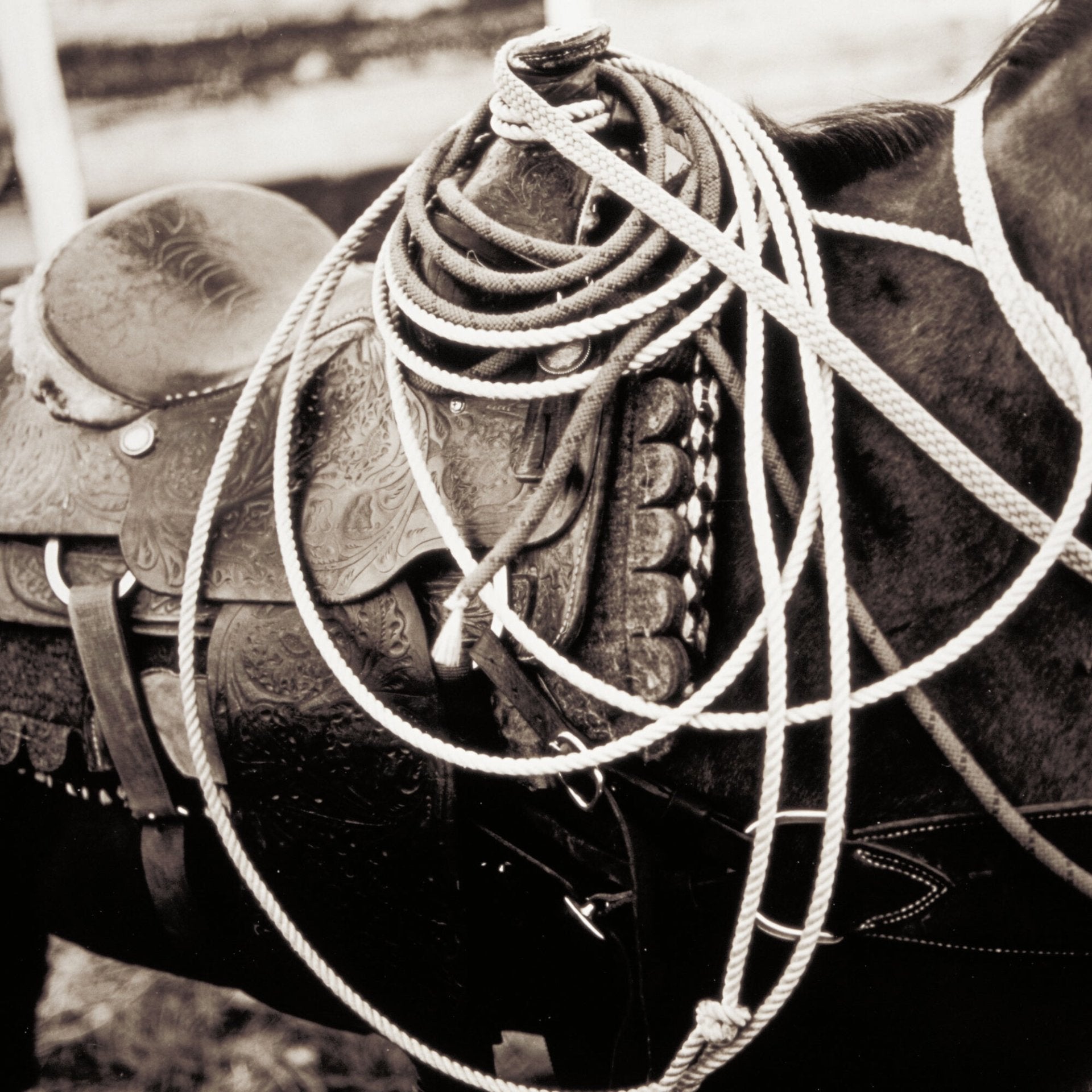 Calf Ropers Saddle, Jules Frazier Fine Art Photograph