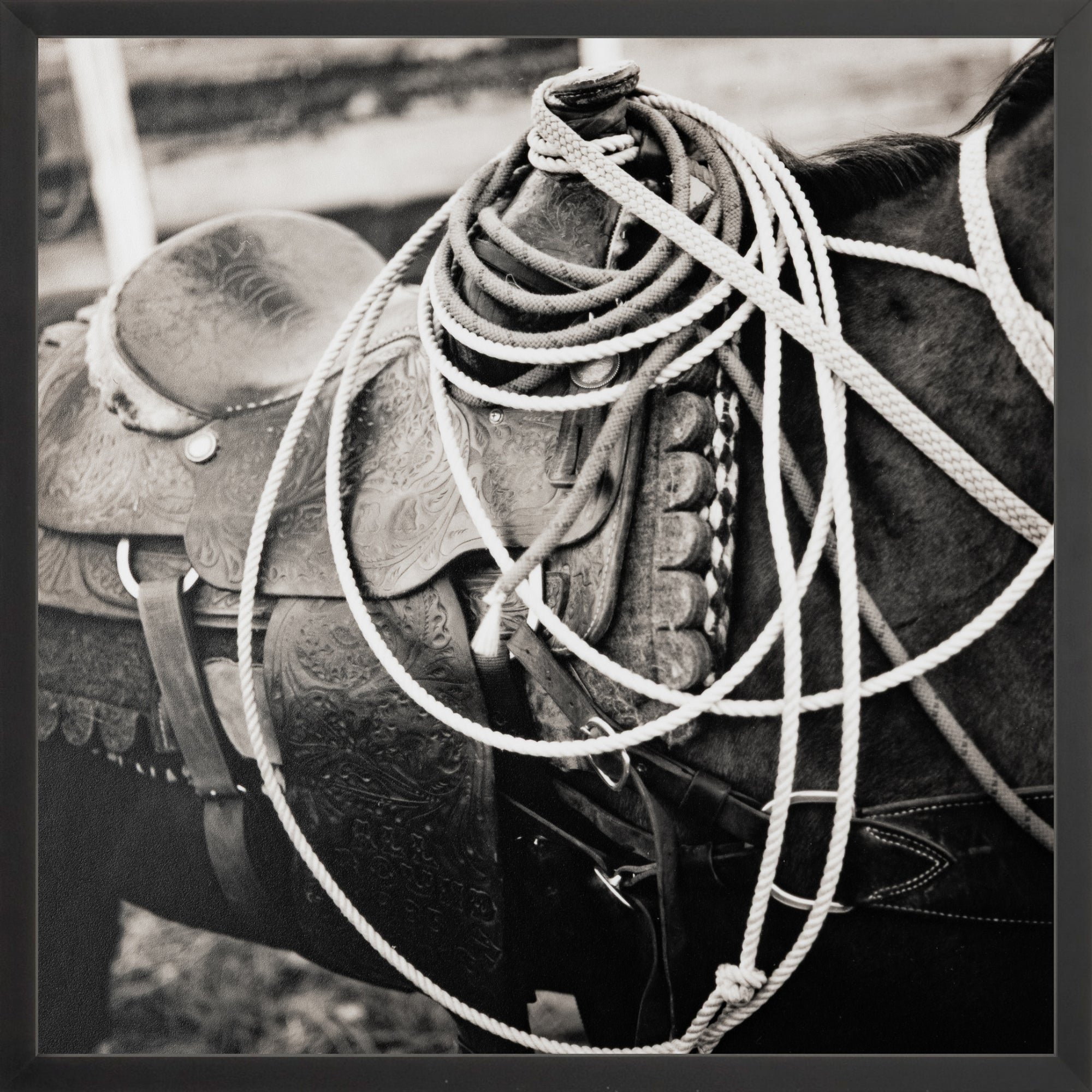 - Jules Frazier Fine Art Photographs