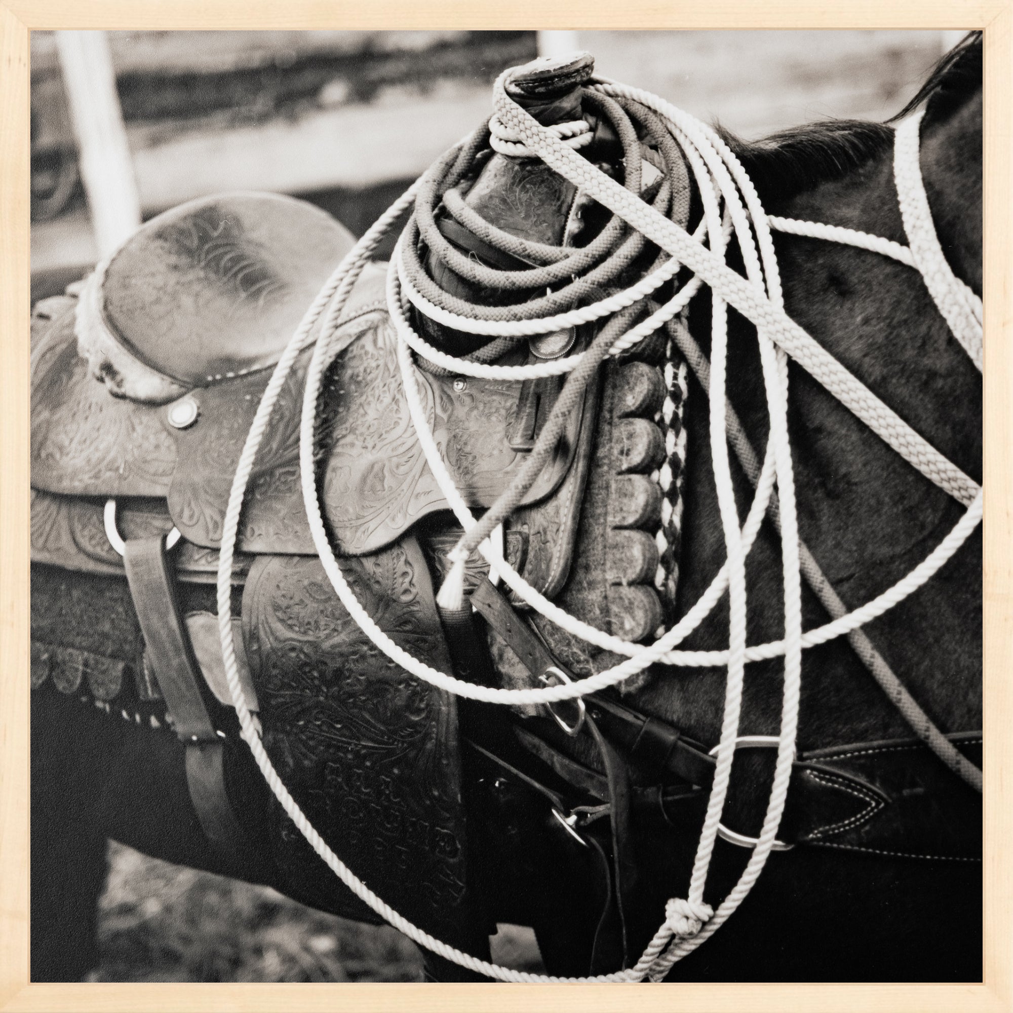 - Jules Frazier Fine Art Photographs