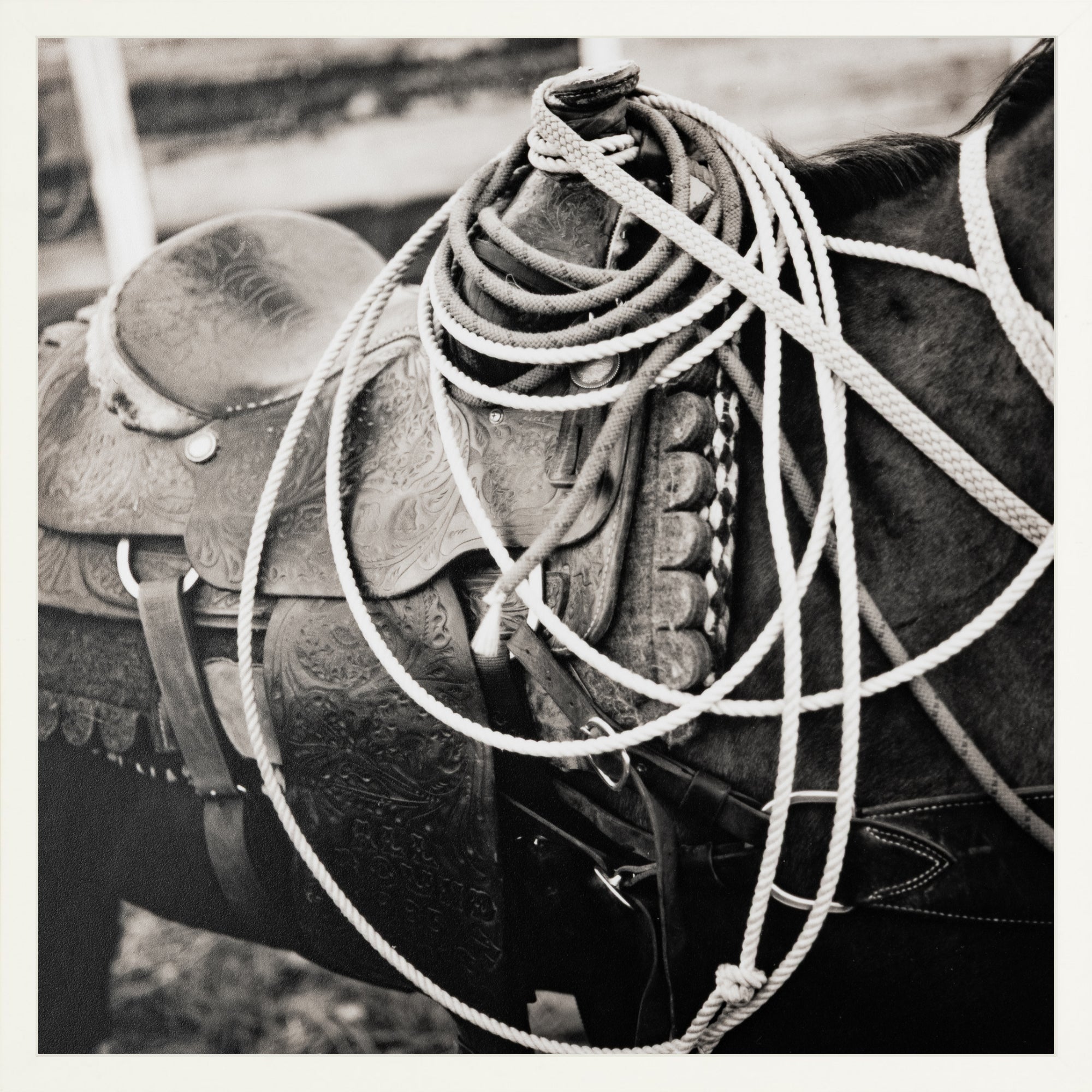 - Jules Frazier Fine Art Photographs