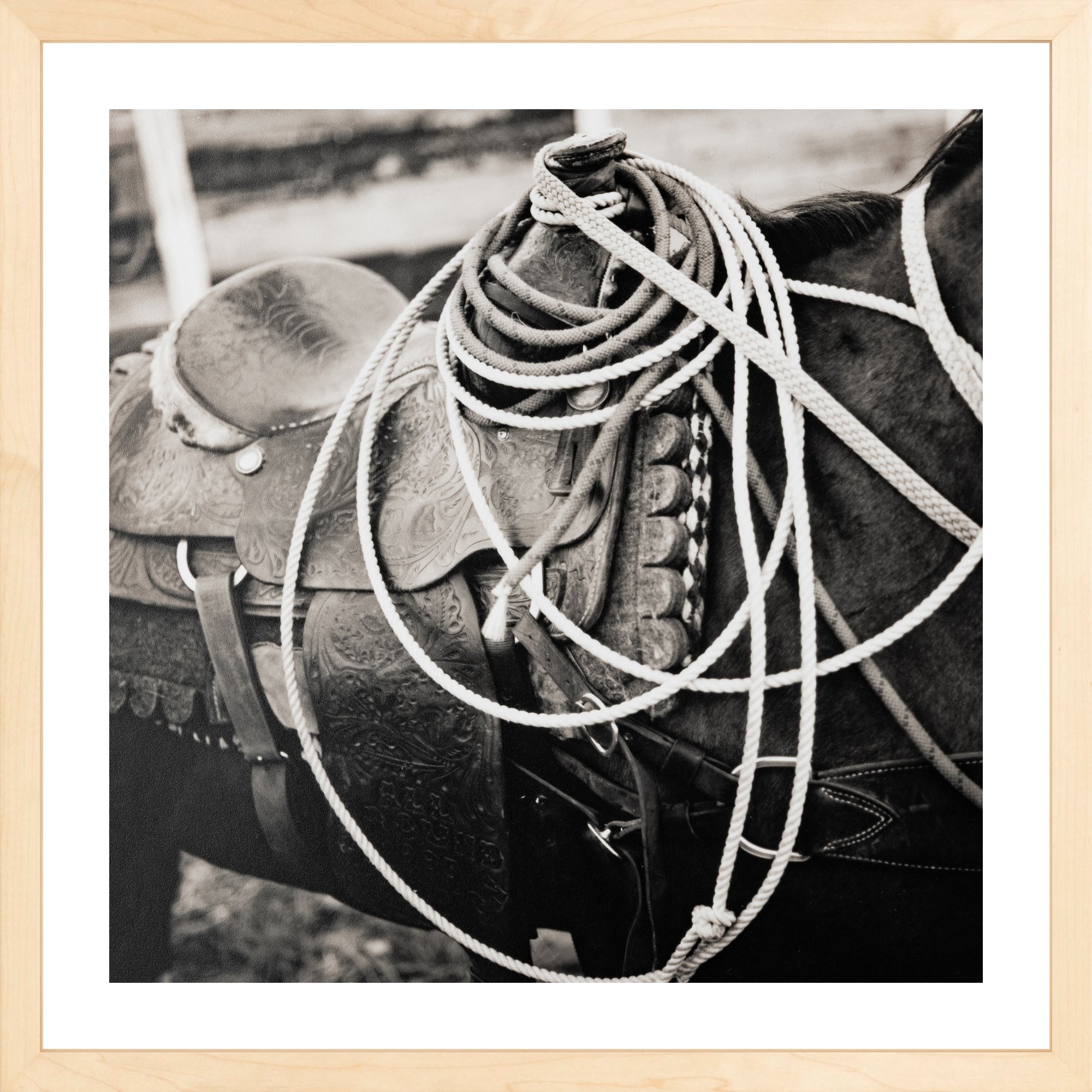 - Jules Frazier Fine Art Photographs