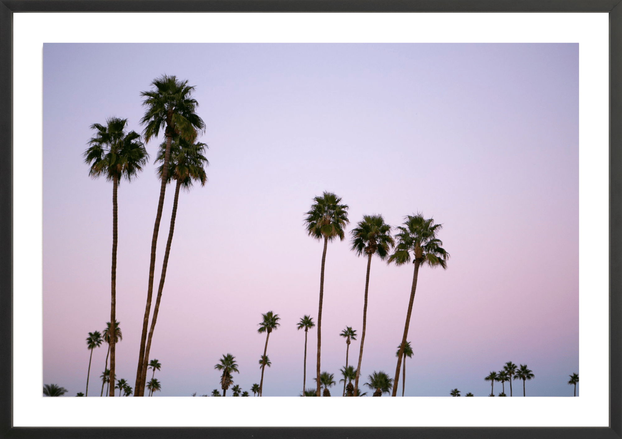 California Dreamin, Jules Frazier Fine Art Photograph