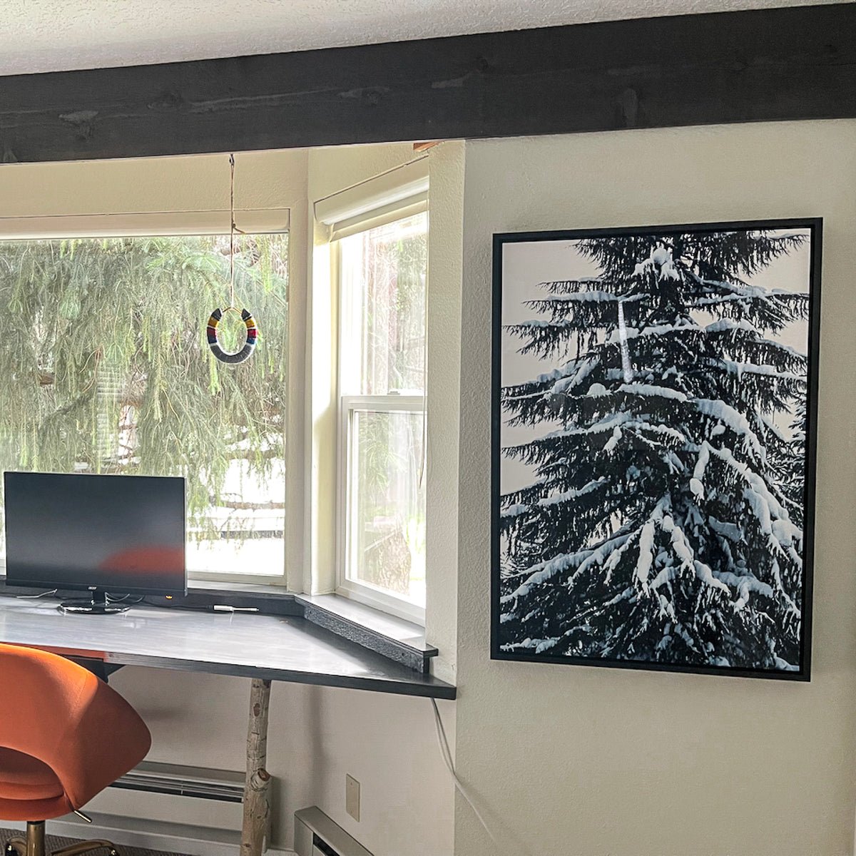 Cascade Snowy Tree