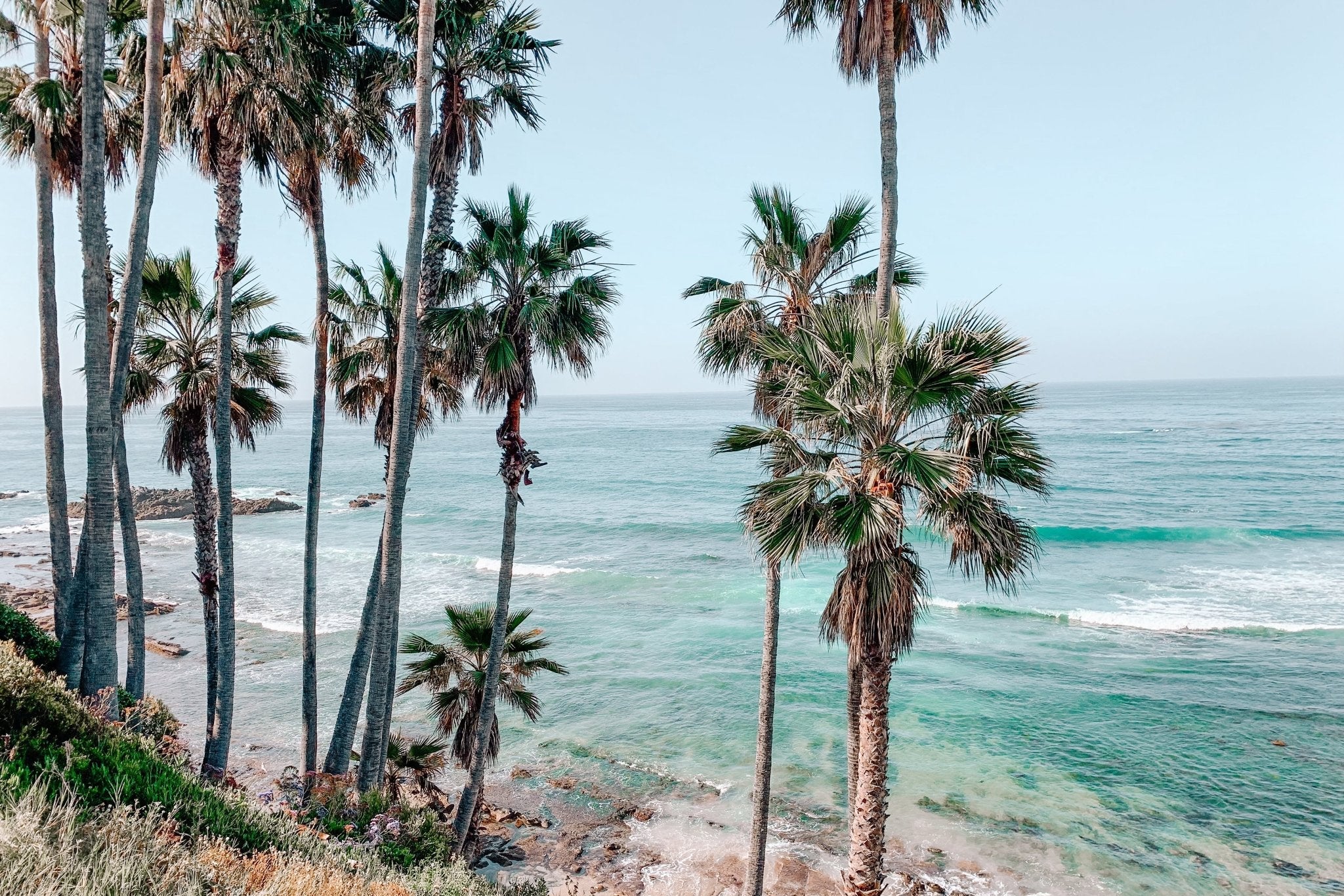 Tropical beach with palm trees and clear blue water