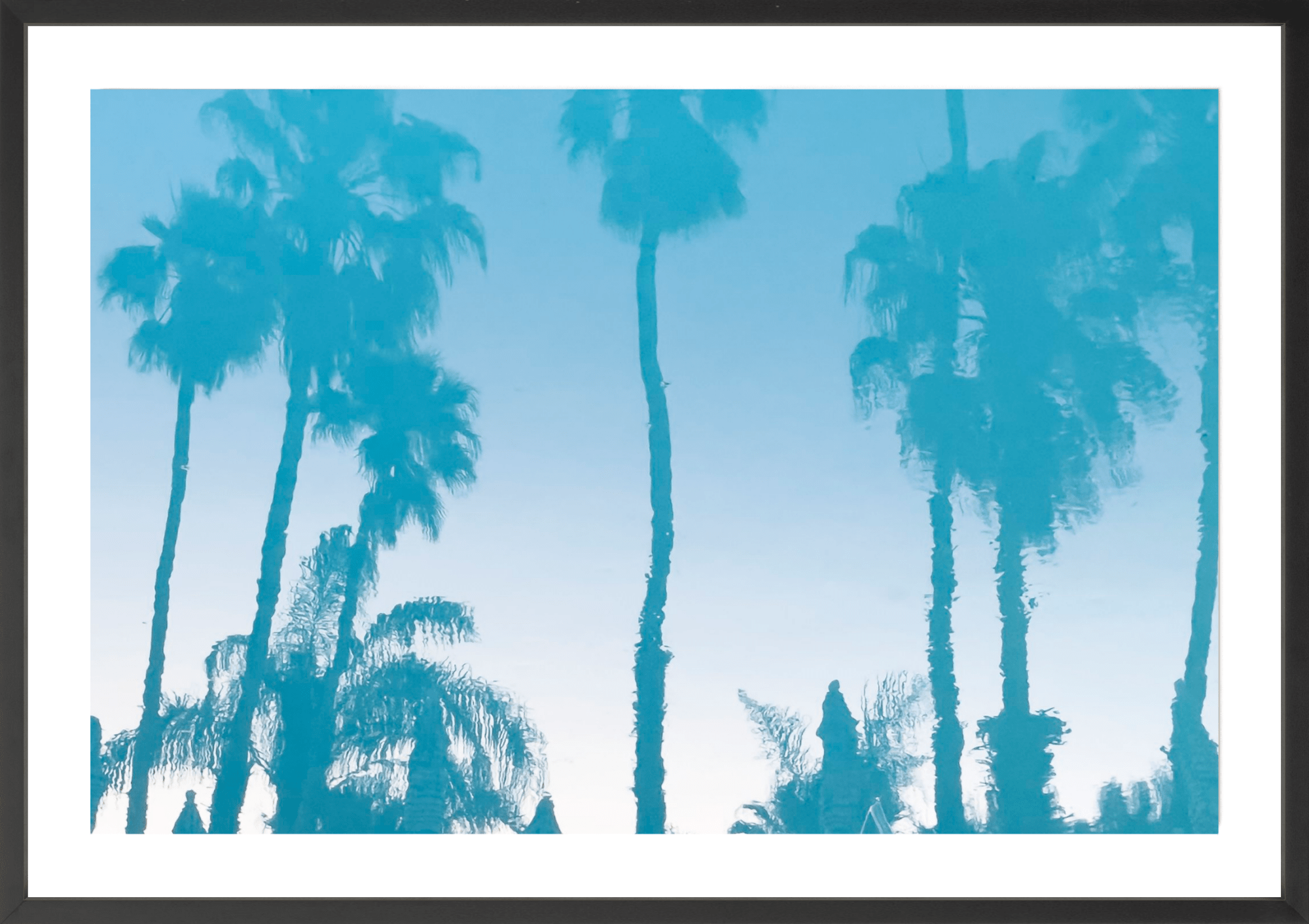 Colony Pool Palms, Jules Frazier Fine Art Photograph