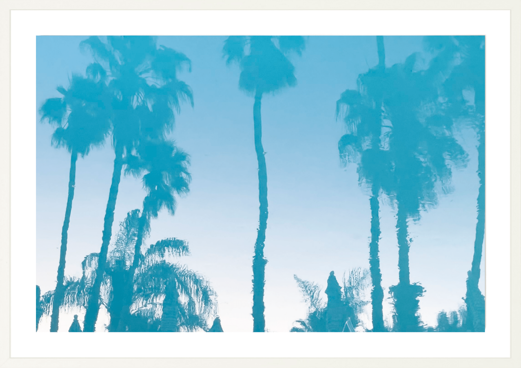 Colony Pool Palms, Jules Frazier Fine Art Photograph