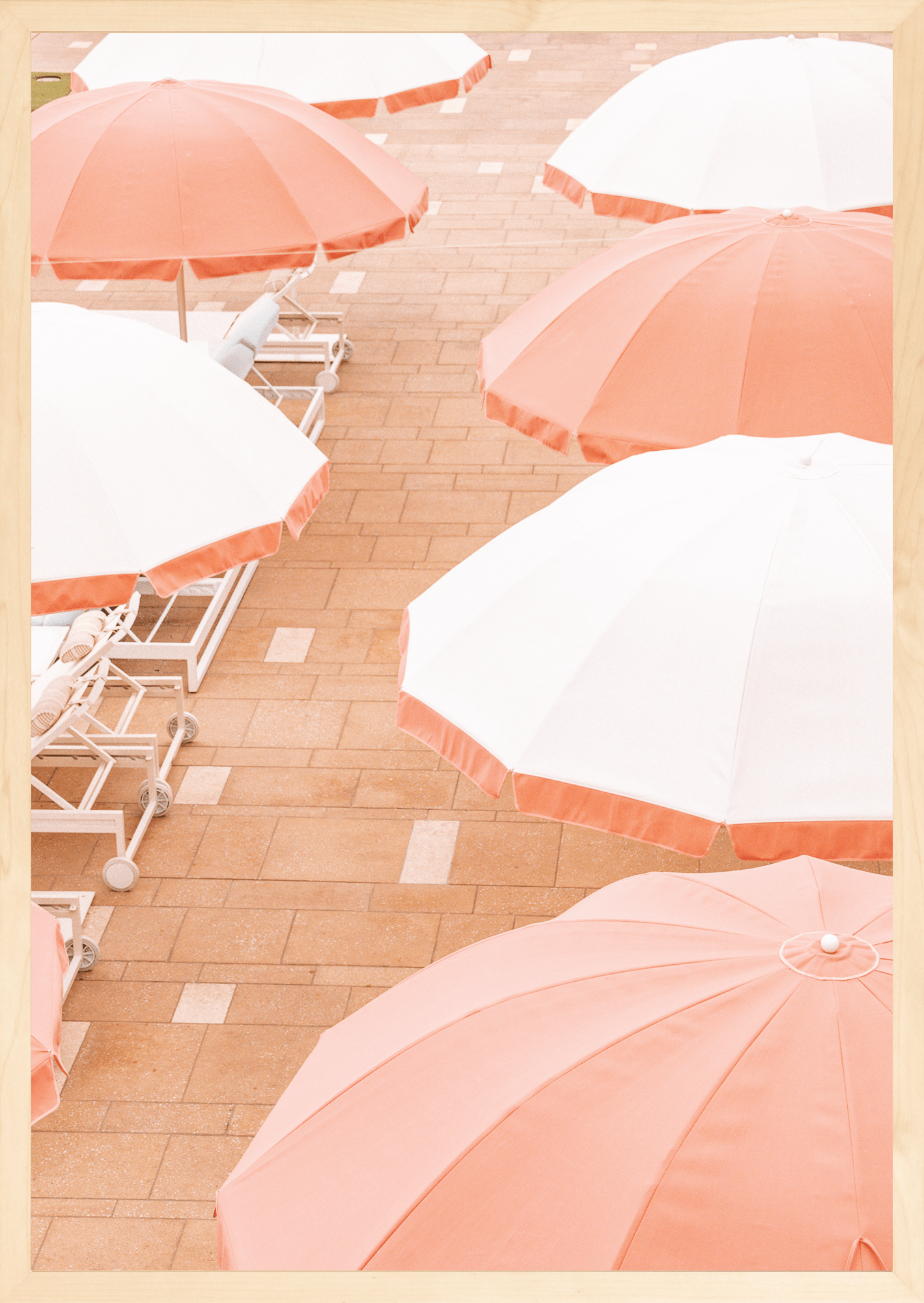 Coral Sun Umbrella's