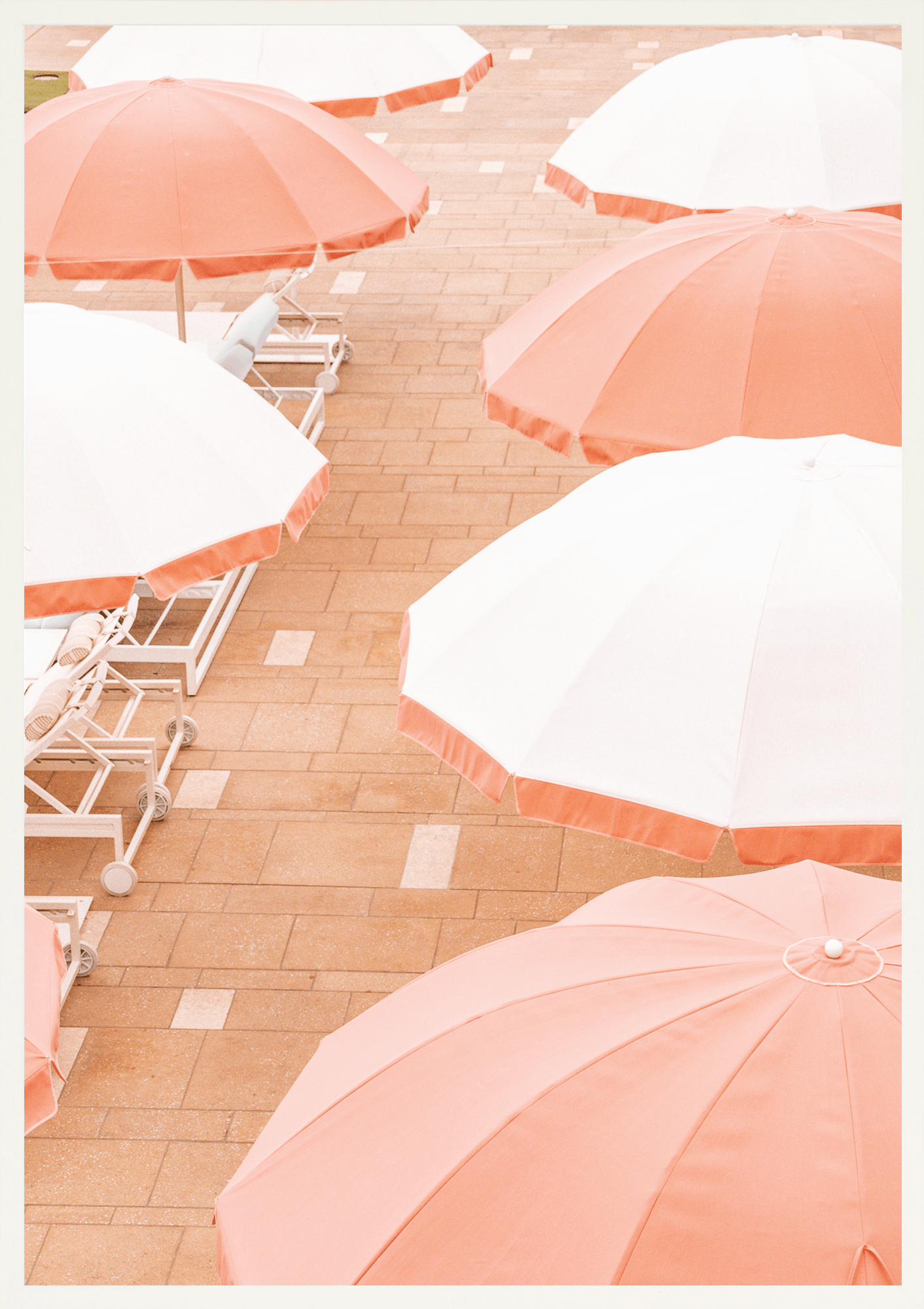 Coral Sun Umbrella's