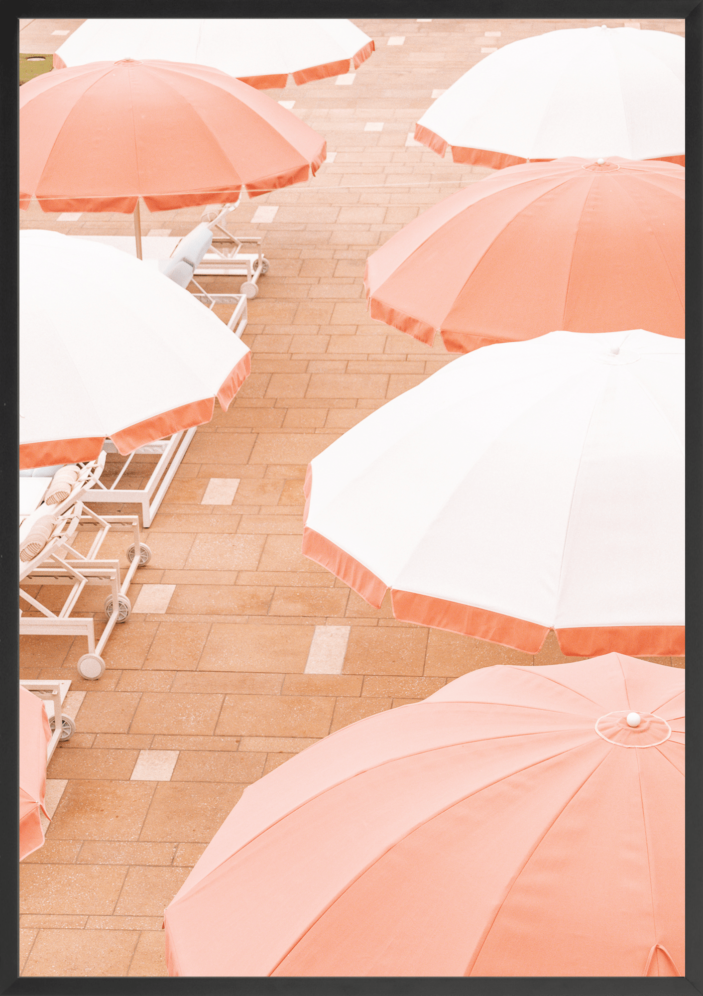 Coral Sun Umbrella's