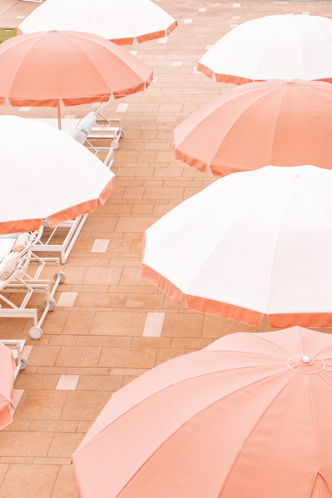 Layers of vivid coral and sun-washed umbrellas create a playful pattern of classic beach club style, retro phot