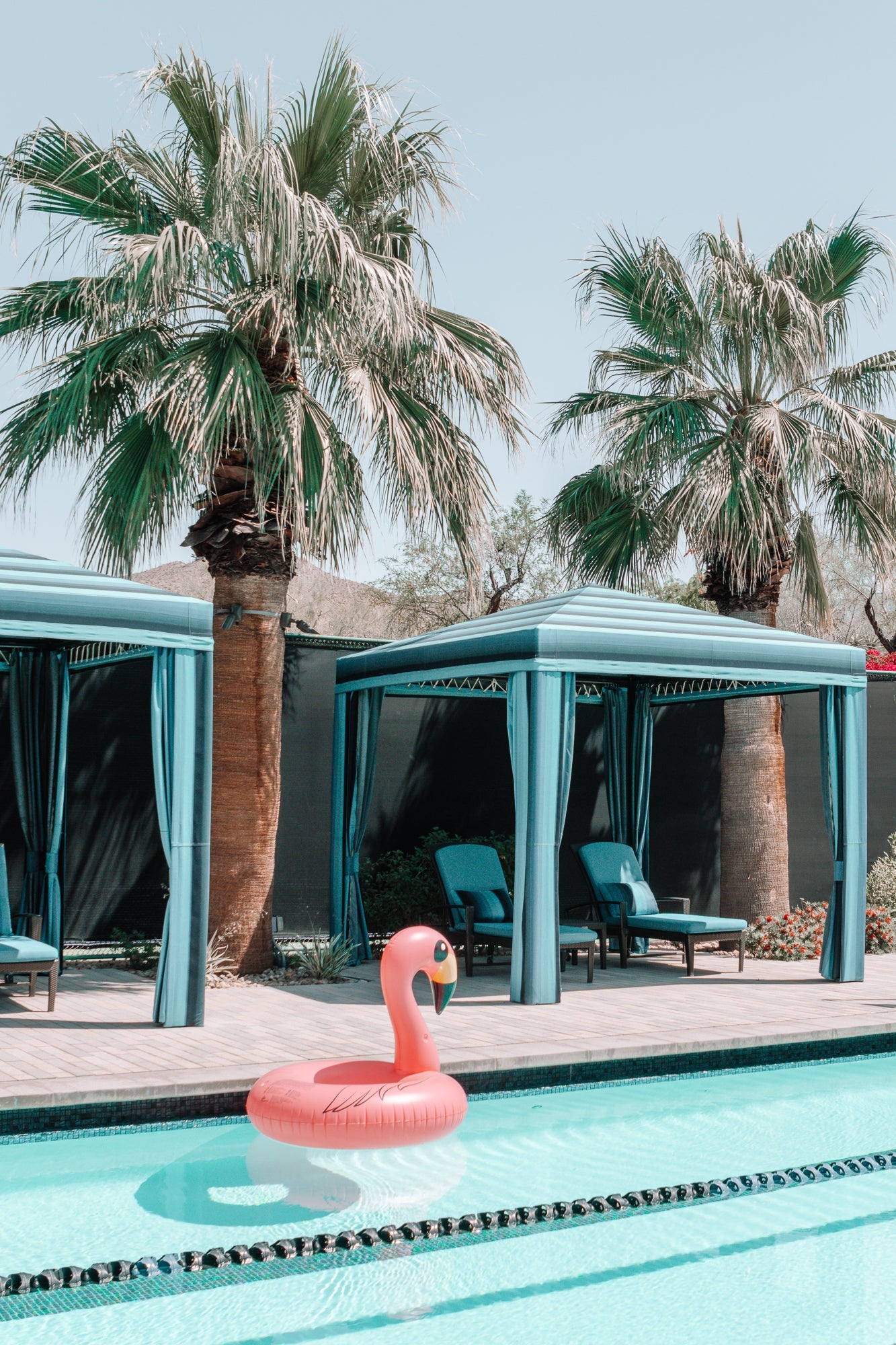 Flamingo Pool Vibes, Jules Frazier Fine Art Photograph