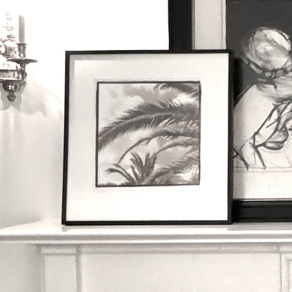 South of France Palms