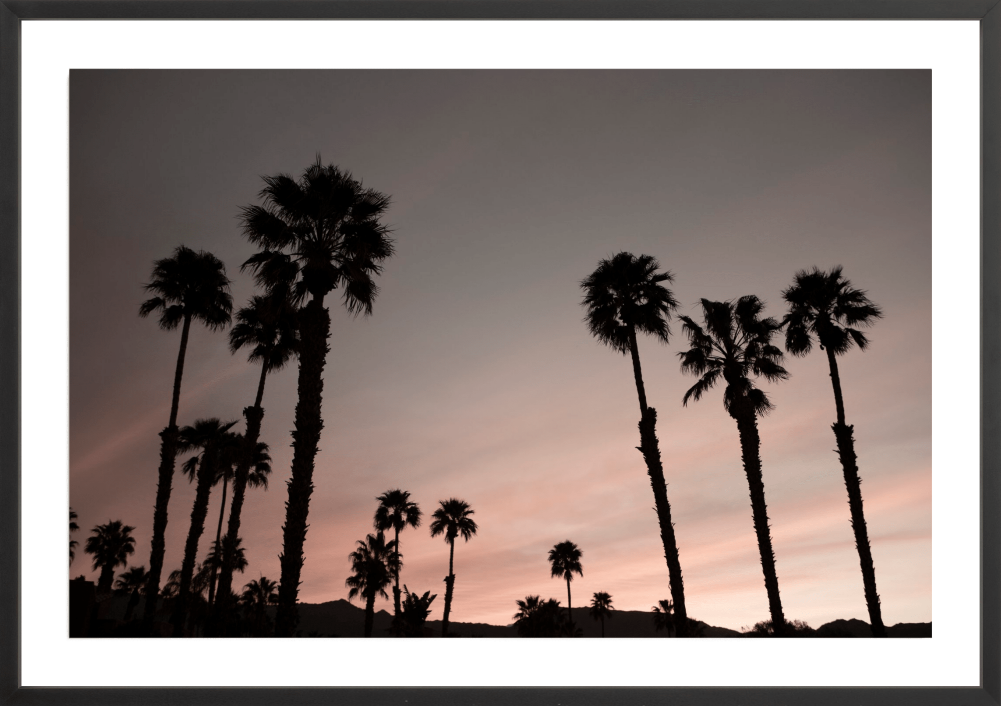 Ironwood Palms, Jules Frazier Fine Art Photograph