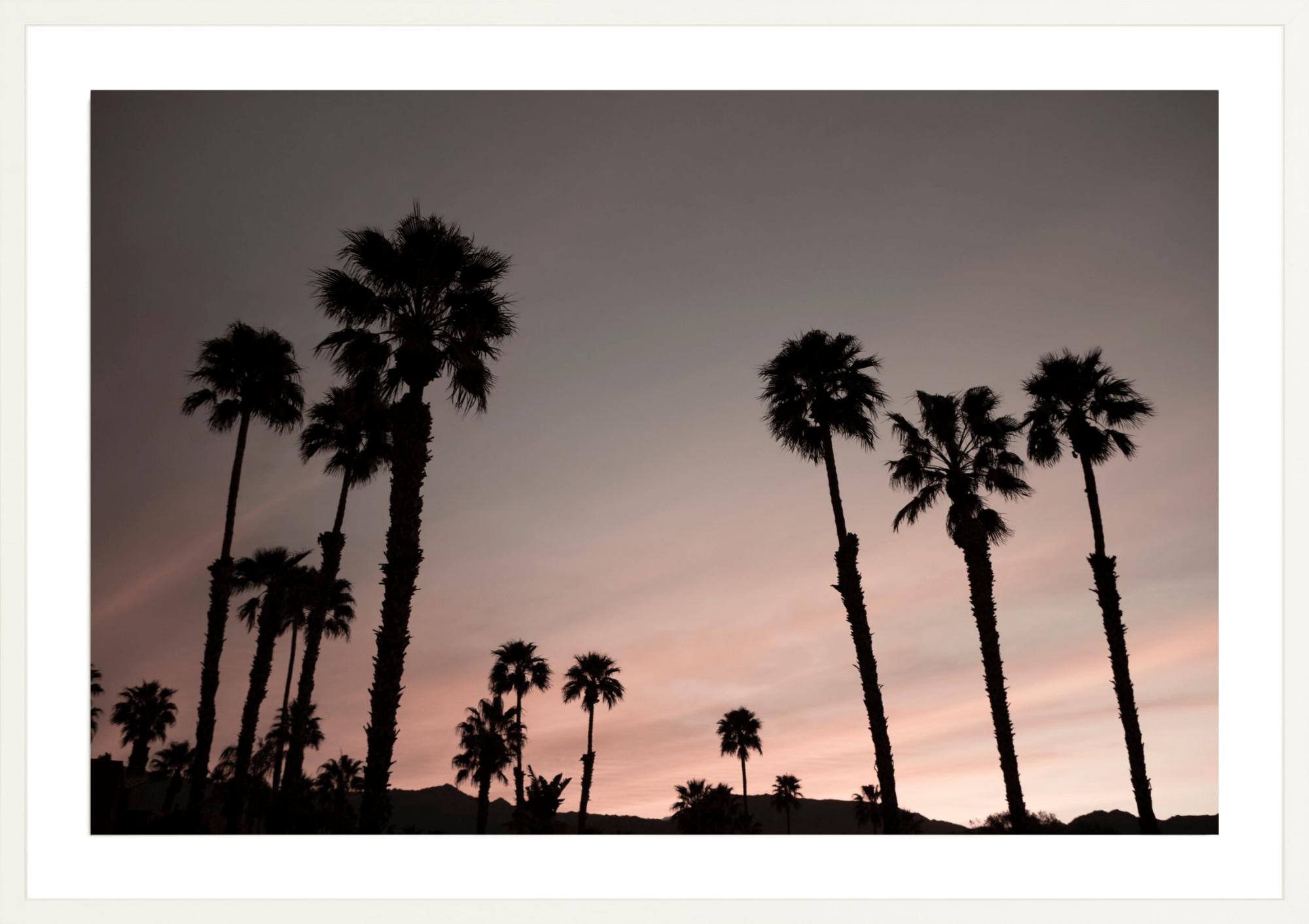 Ironwood Palms, Jules Frazier Fine Art Photograph
