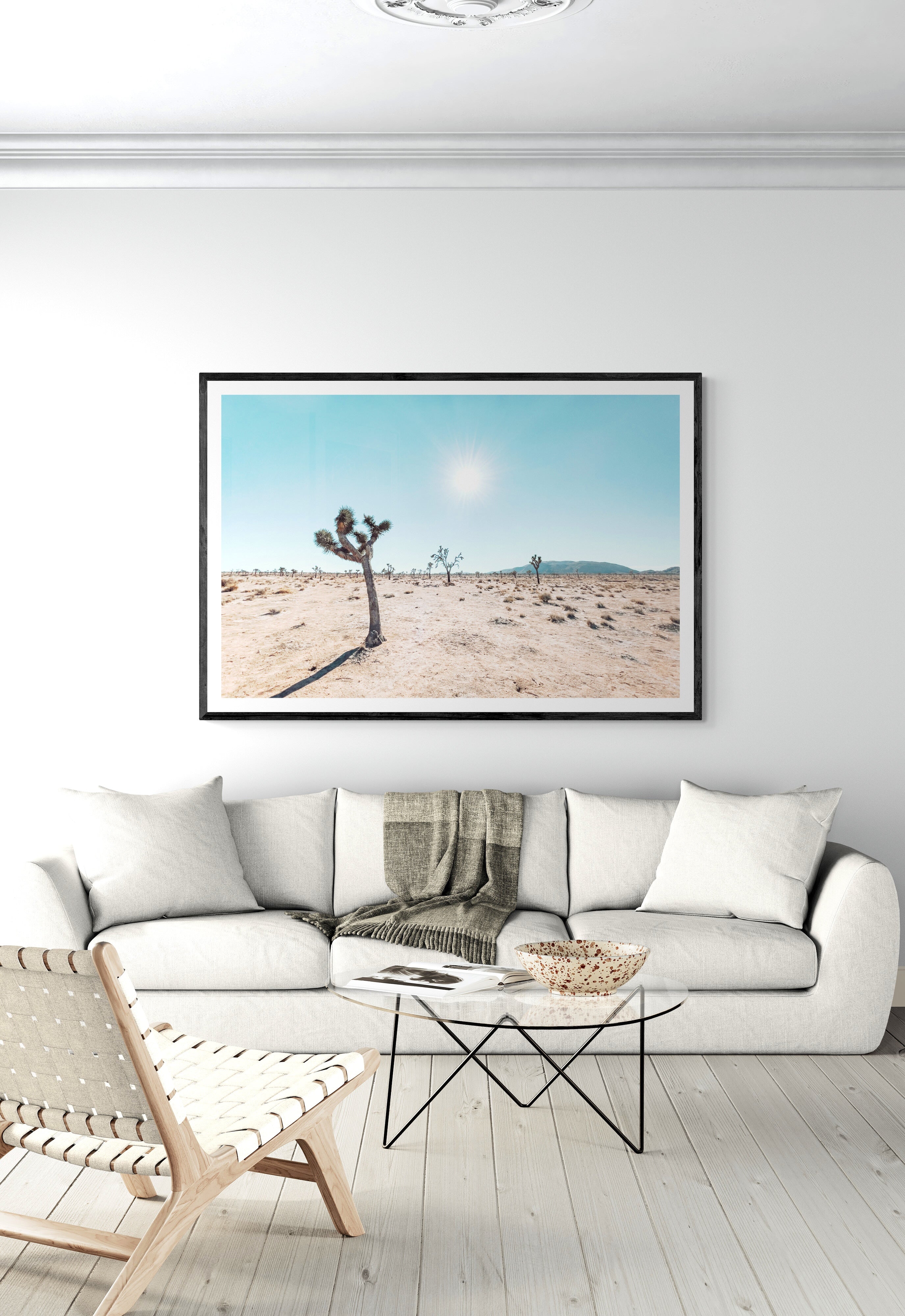 Joshua Tree Sun