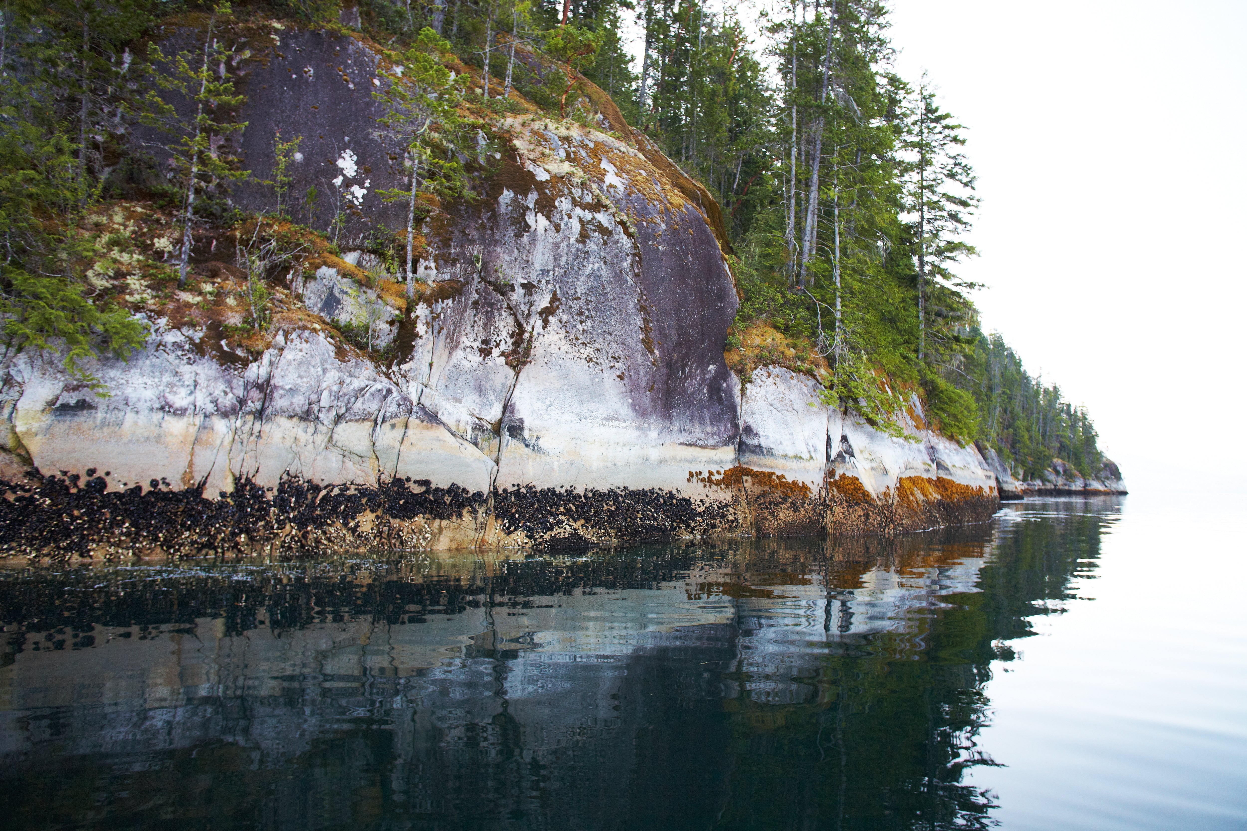 Low Tide Reveal