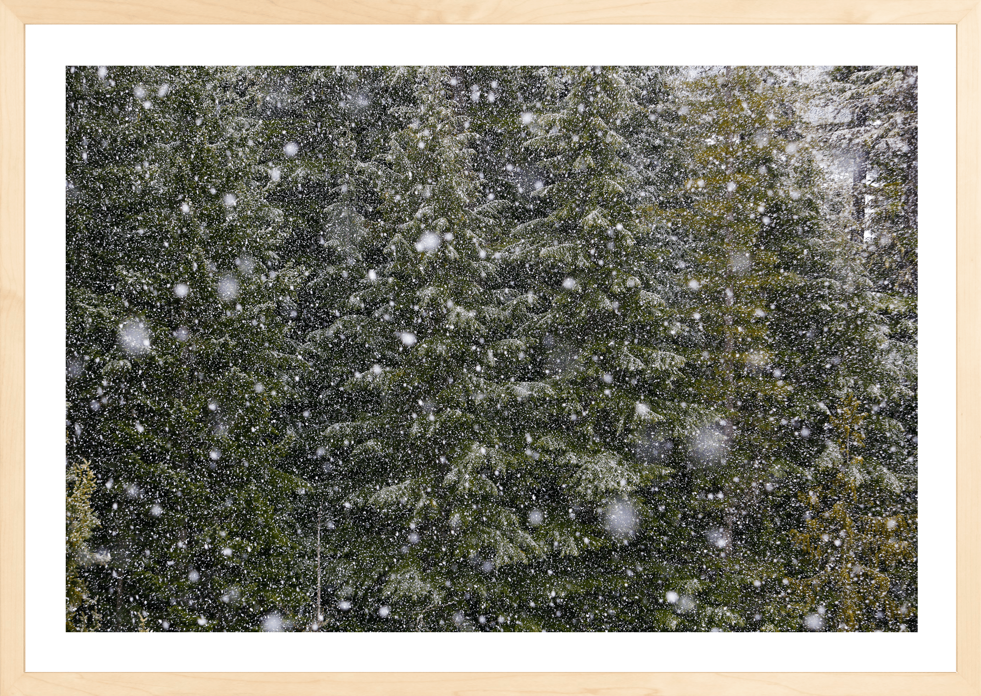 Big Snow No. 1