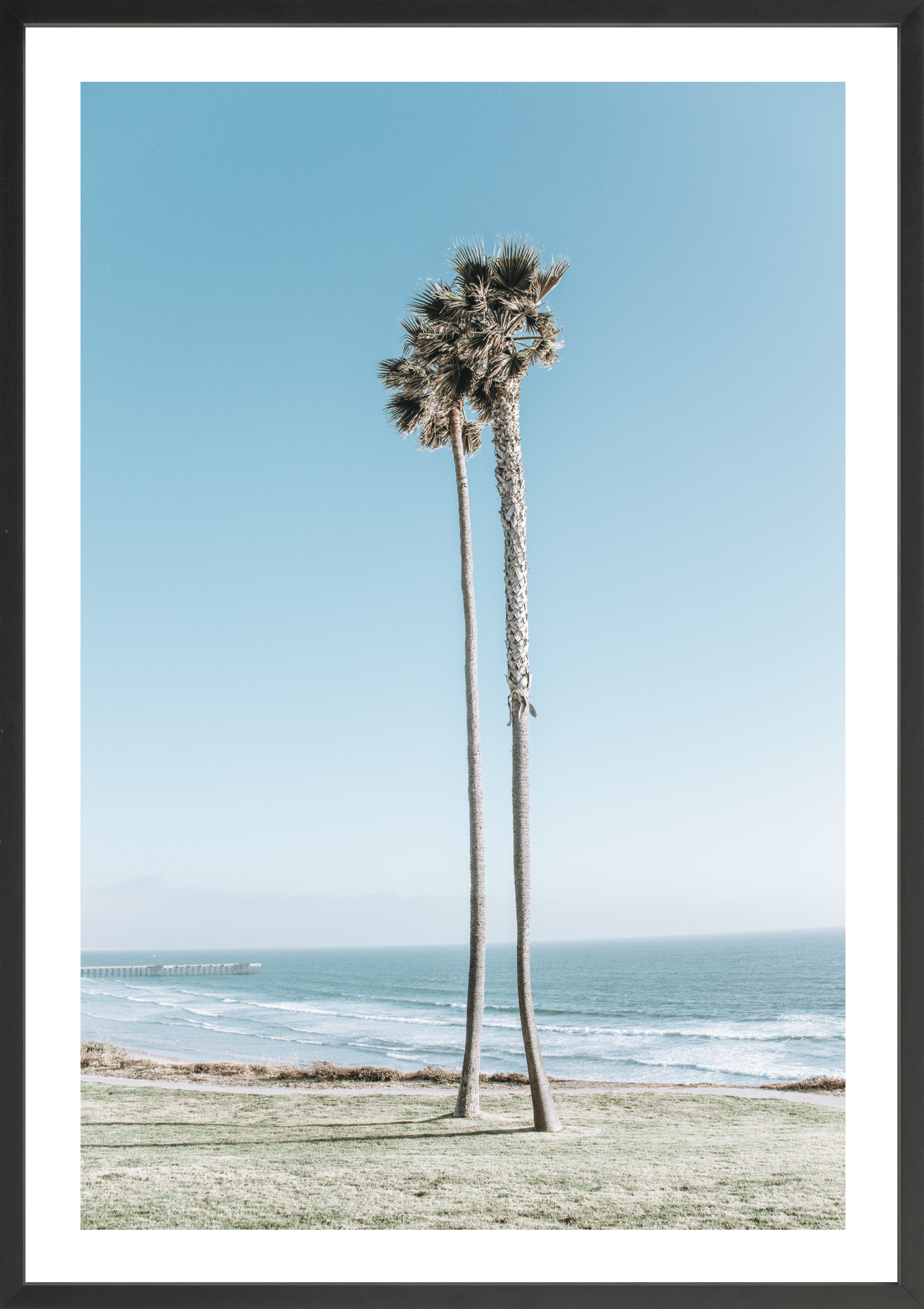 Together Forever, Pismo Beach, palm trees fine art print by Jules Frazier. A modern beach art print, black frame.