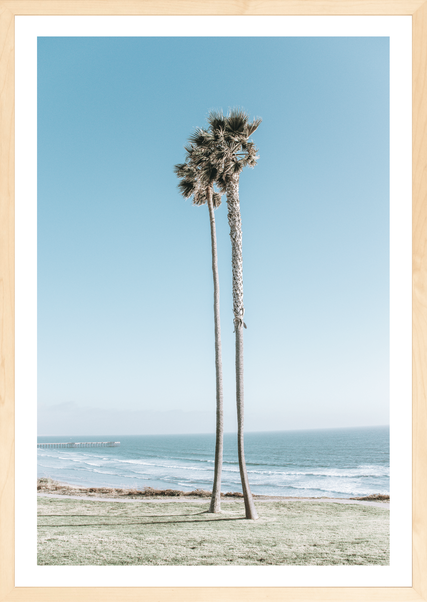 Together Forever, Pismo Beach, palm trees fine art print by Jules Frazier. A modern beach art print, natural frame.