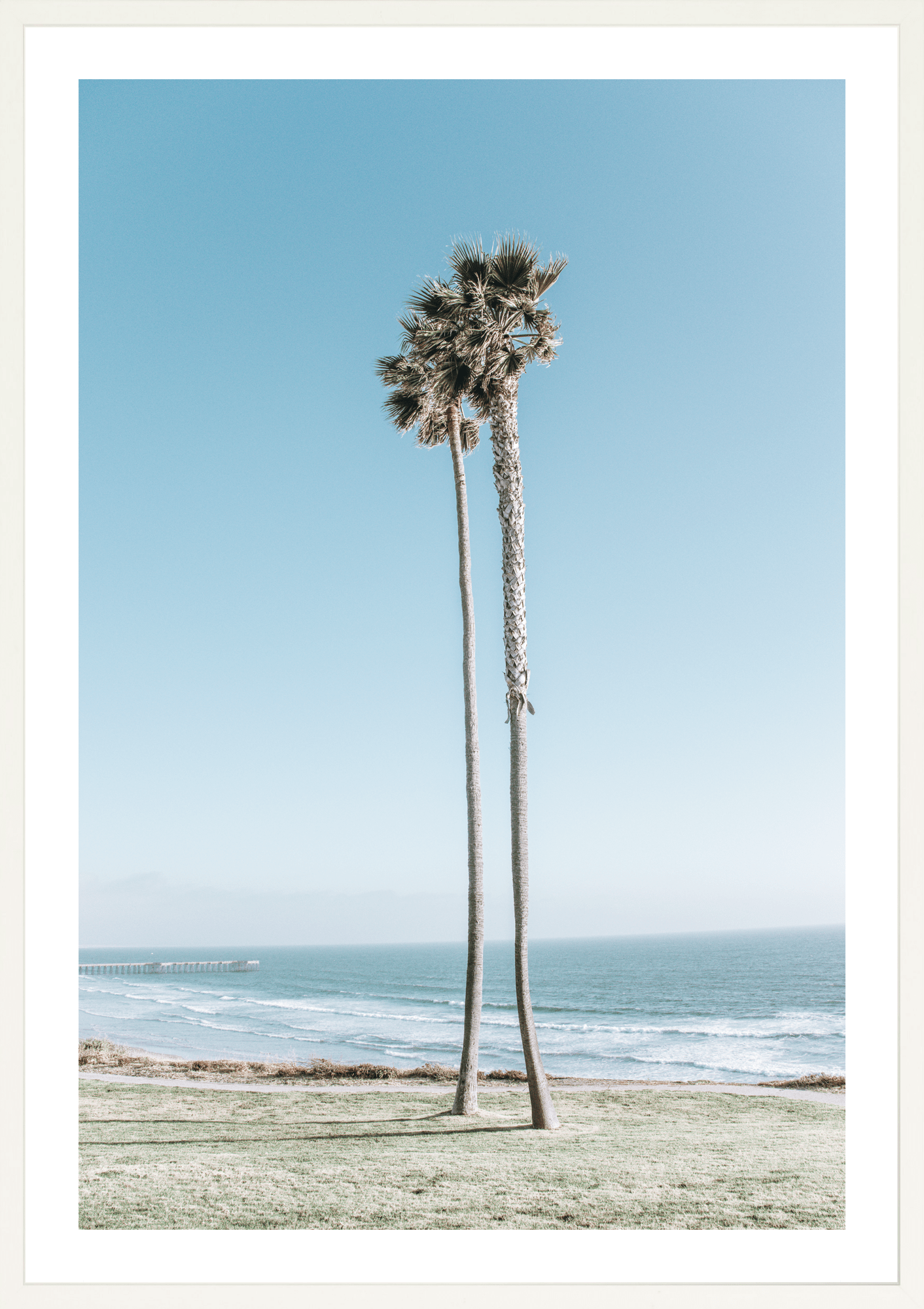 Together Forever, Pismo Beach, palm trees fine art print by Jules Frazier. A modern beach art print ,white frame.