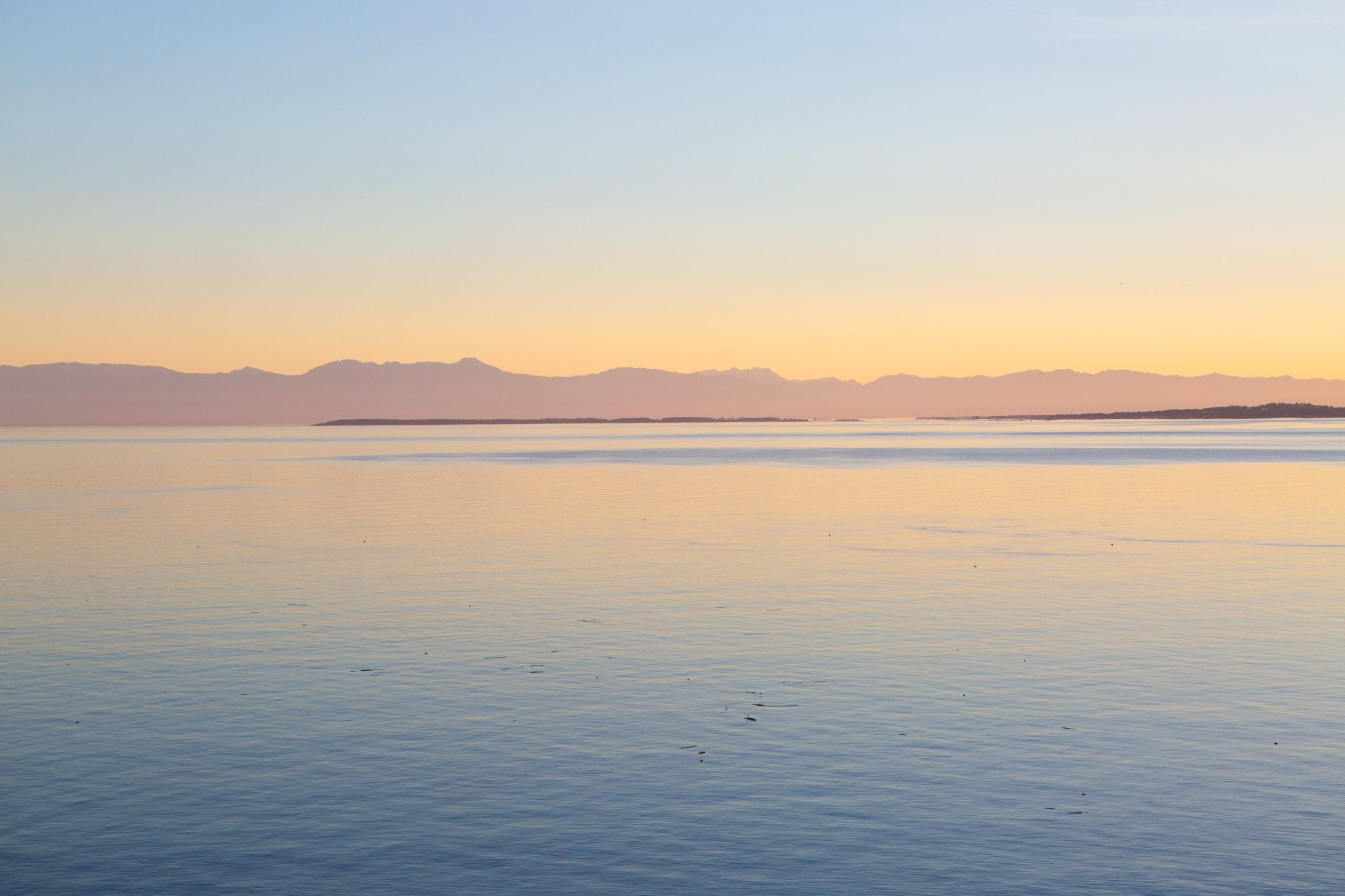 Olympic Gold, the Olympic Mountains, a fine art photograph that is statement to your space with modern luxury and calm.