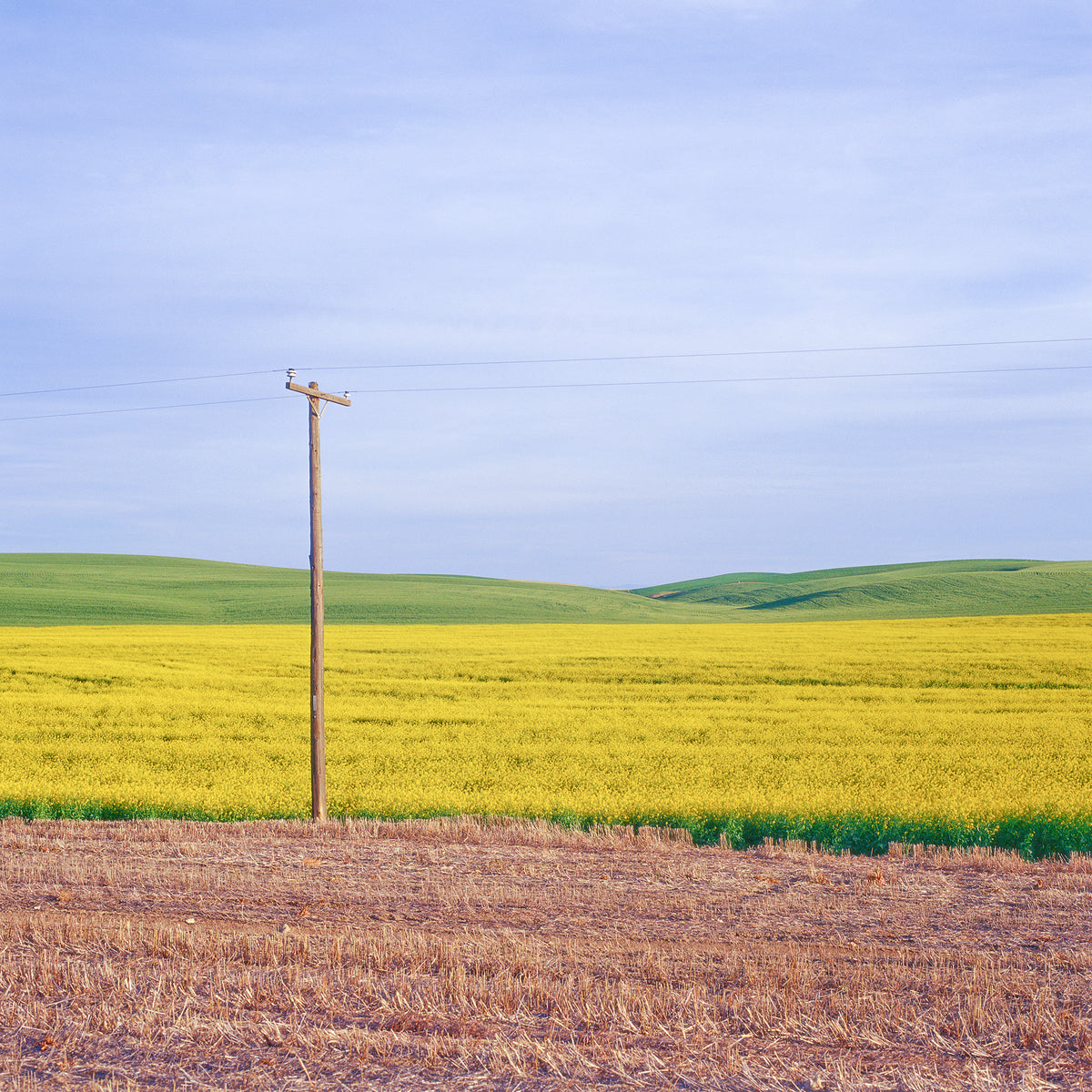 Palouse Telephone Pole