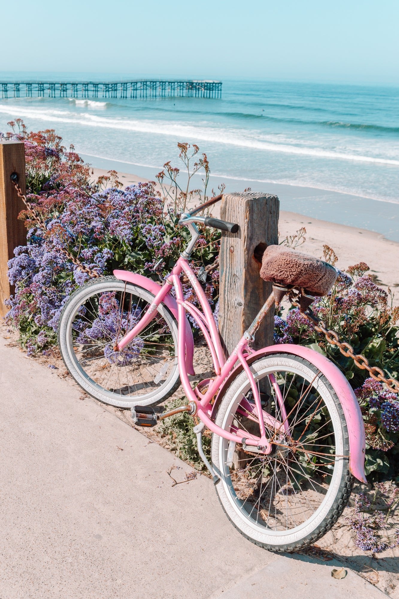Pink Beach Cruiser, Jules Frazier Fine Art Photograph