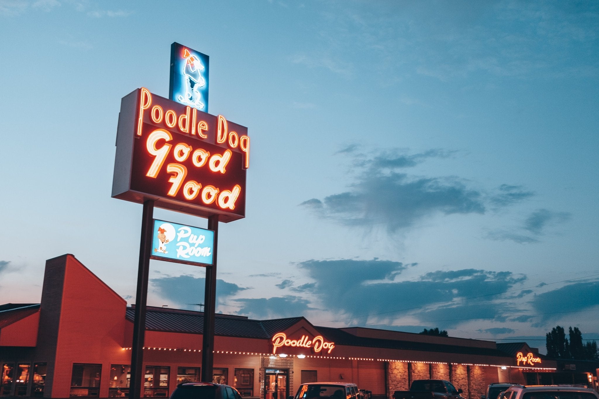 Poodle Dog Pup Room, Jules Frazier Fine Art Photograph