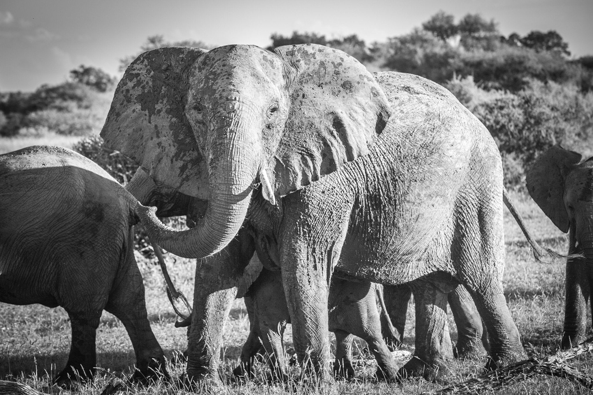 - Jules Frazier Fine Art Photographs