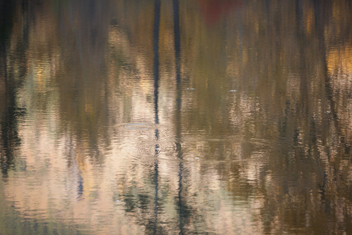 - Jules Frazier Fine Art Photographs