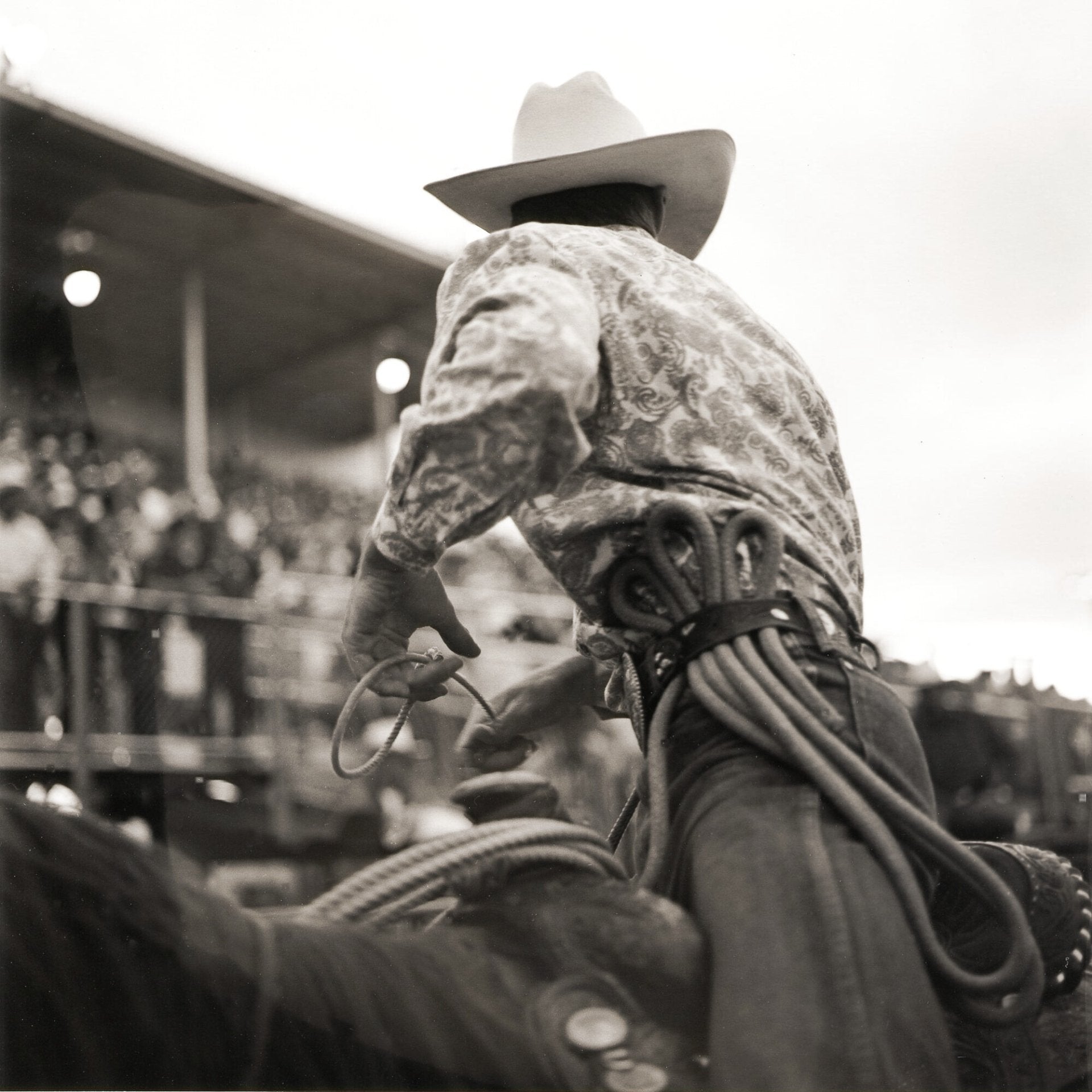 Reno Cowboy, Jules Frazier Fine Art Photograph