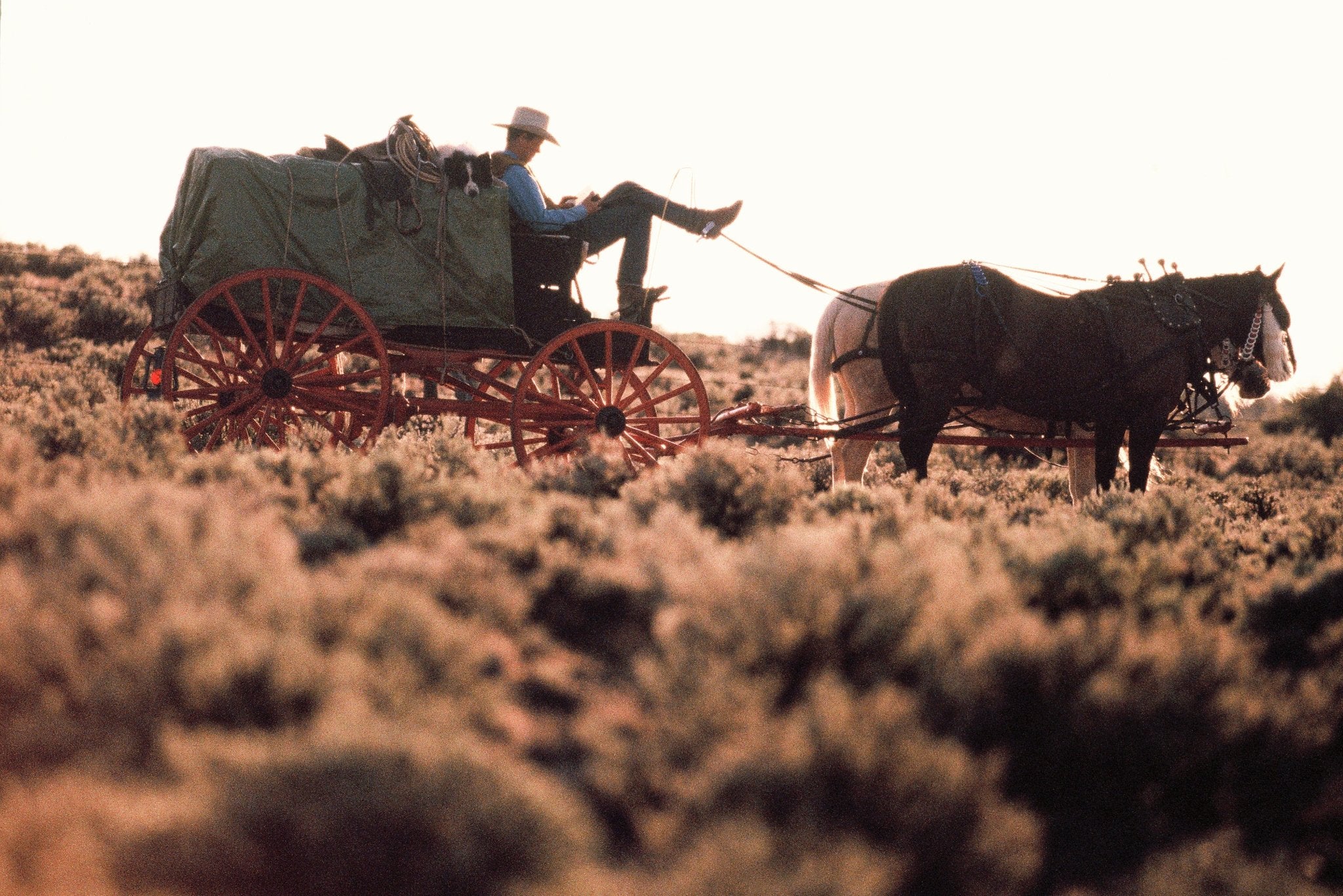 Sam's Wagon, Jules Frazier Fine Art Photograph