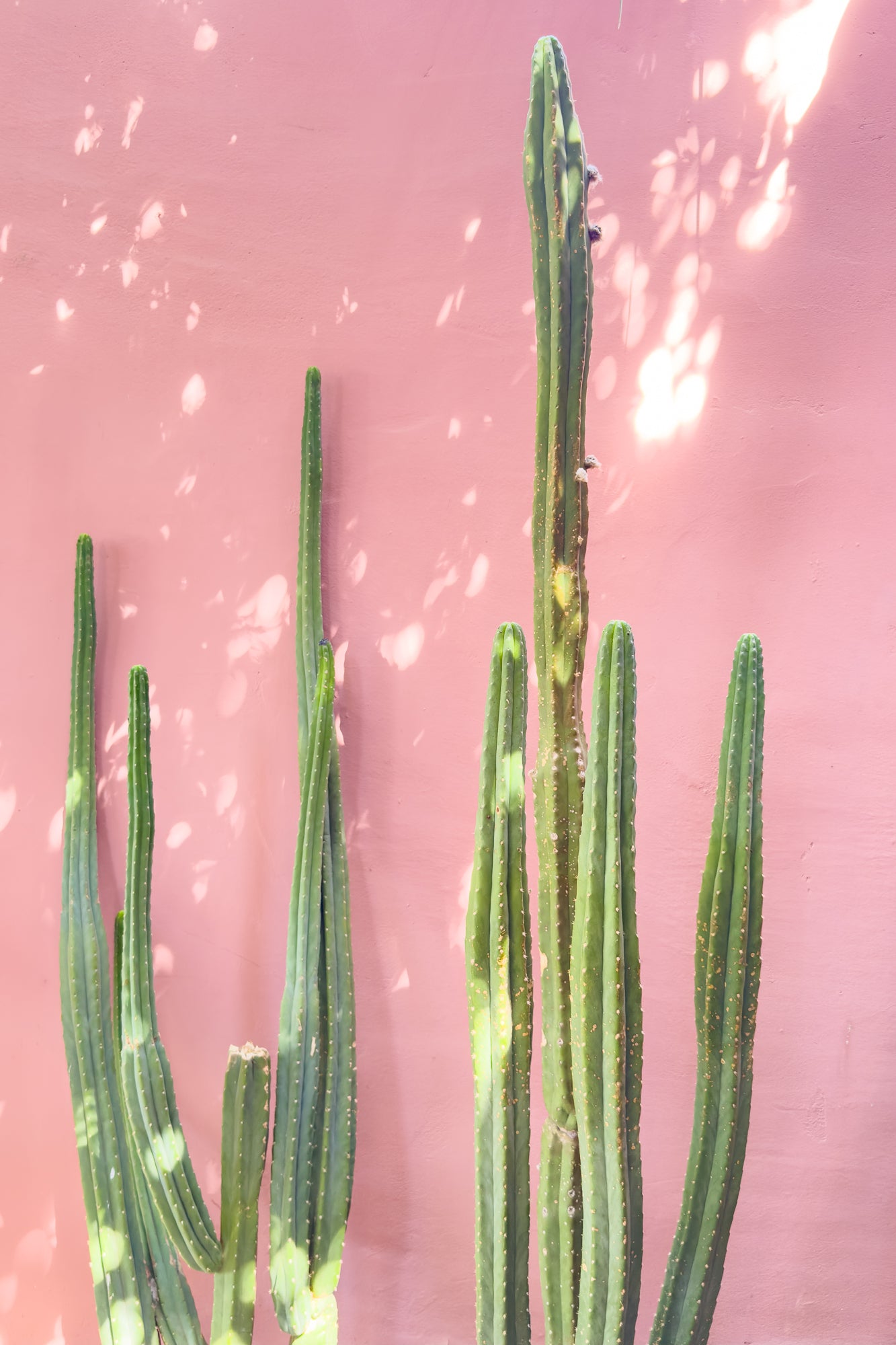 - Jules Frazier Fine Art Photographs