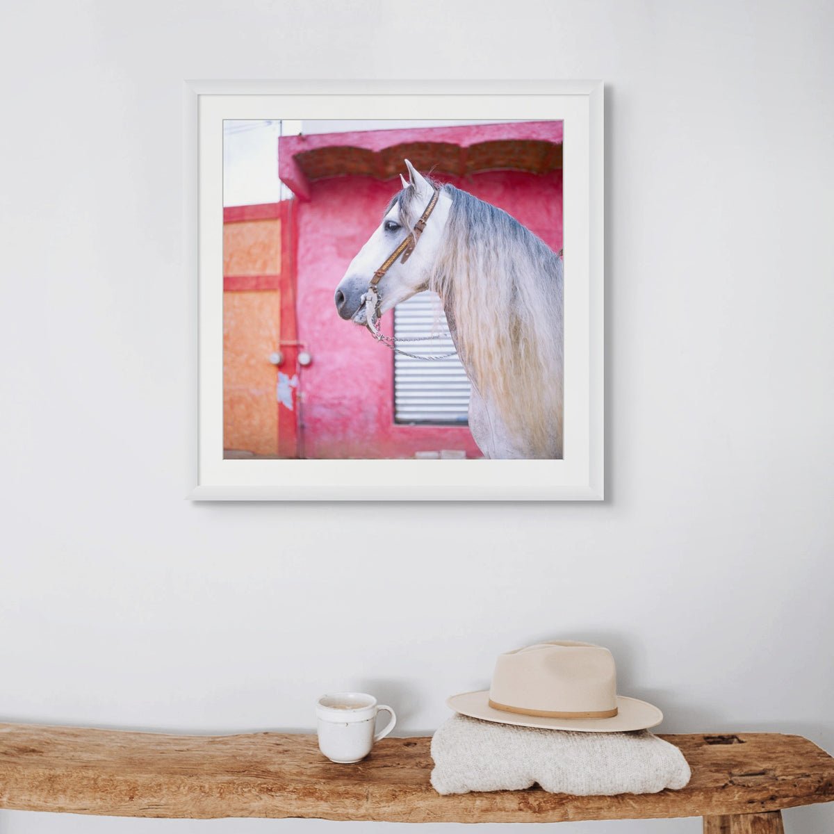 Sayulita Stallion, Mexico