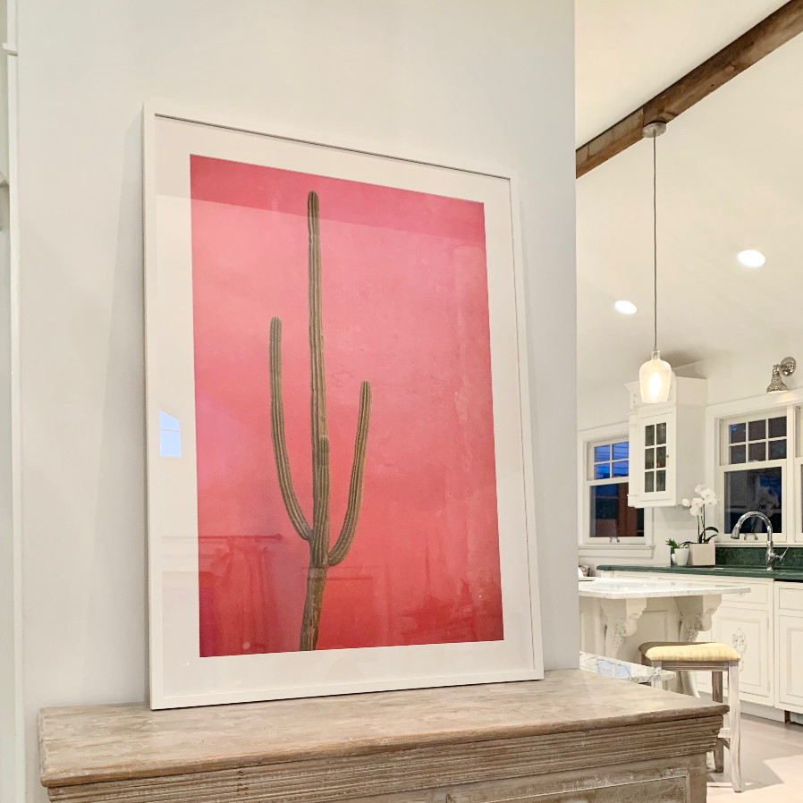 Pink Cactus fine art photographed in home by Jules Frazier