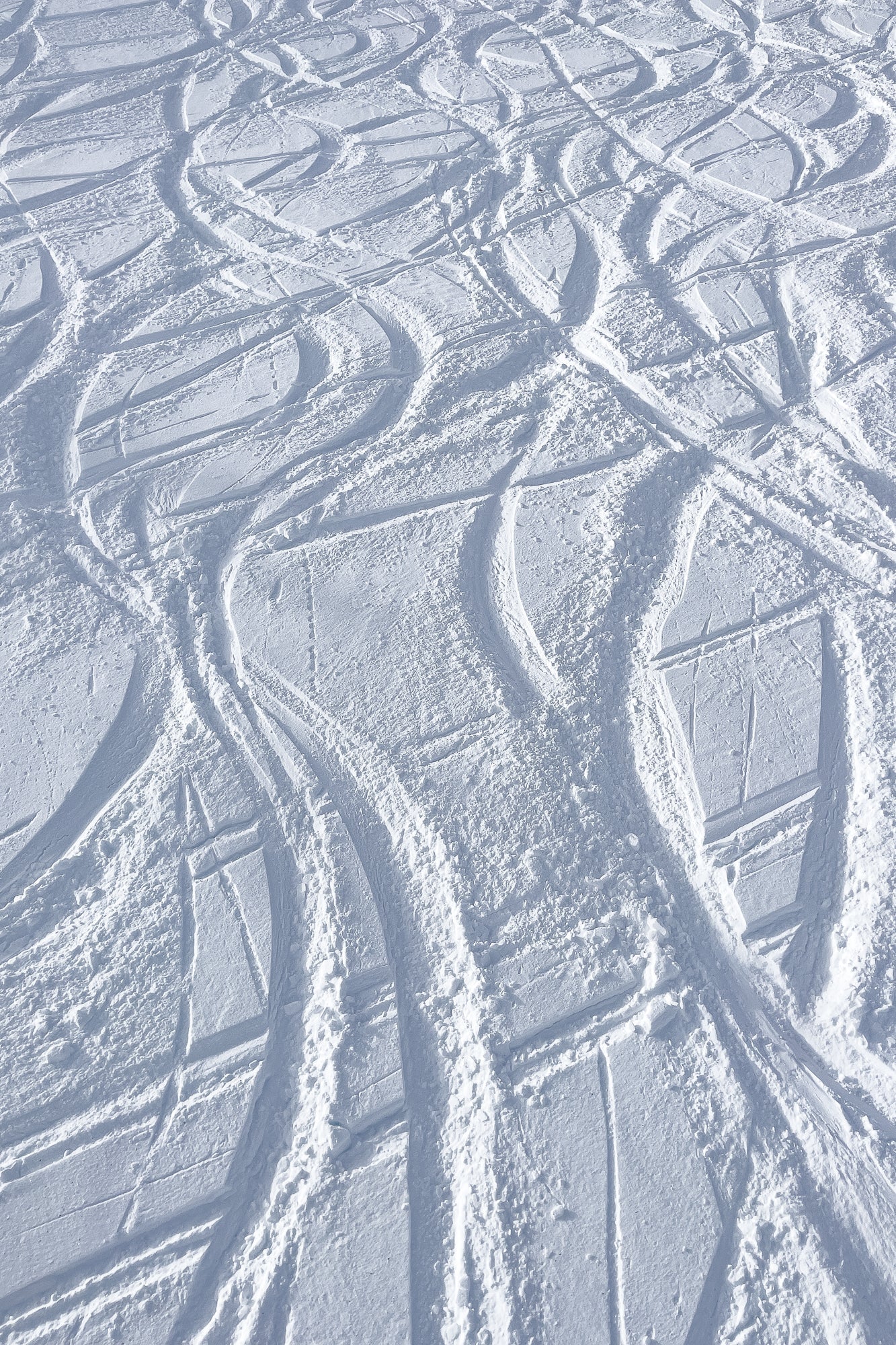 Ski Tracks, Jules Frazier Fine Art Photograph