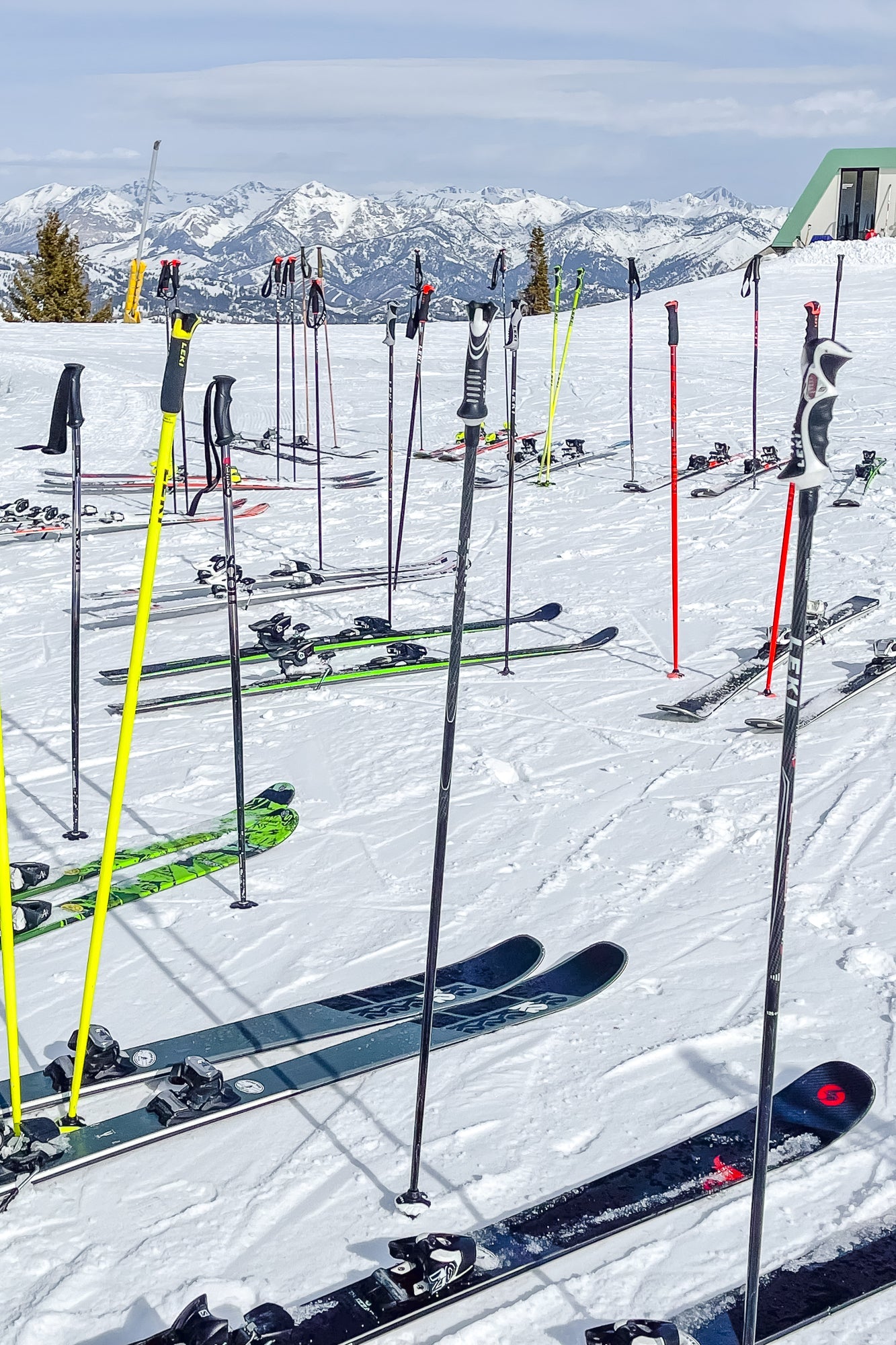 Too Cool for School, Jules Frazier Fine Art Photograph