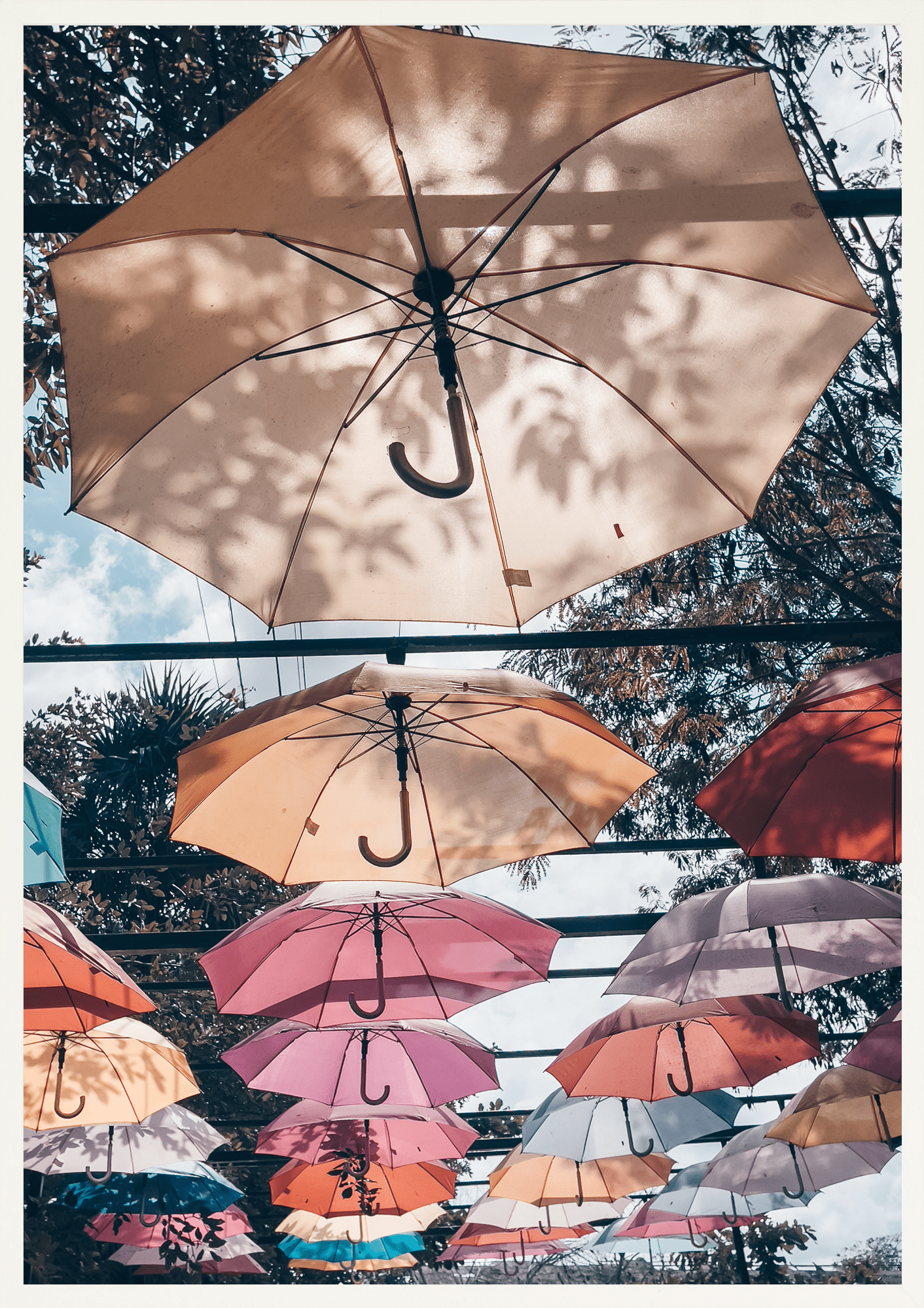 - Jules Frazier Fine Art Photographs